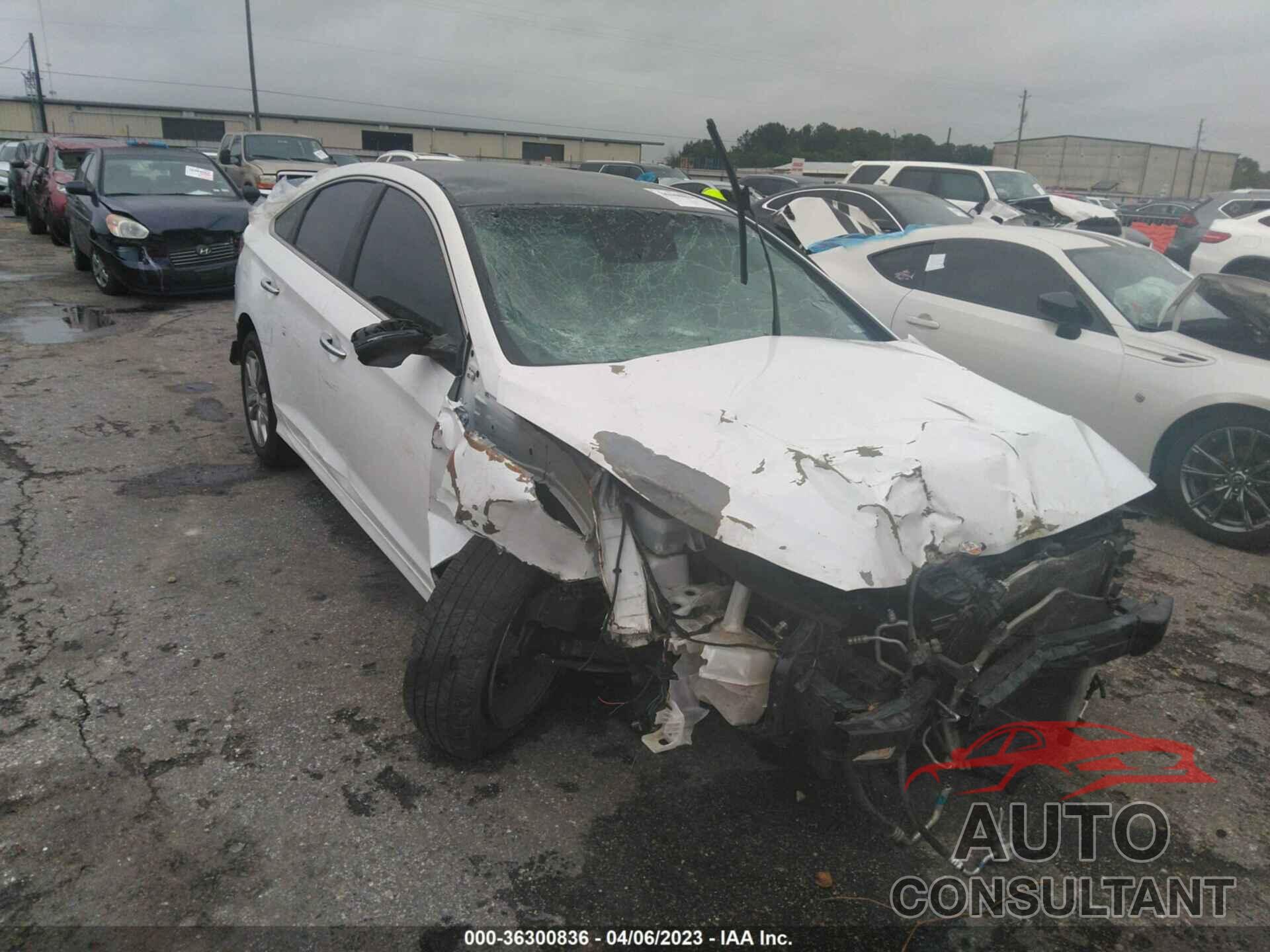 HYUNDAI SONATA 2018 - 5NPE34AF6JH628401