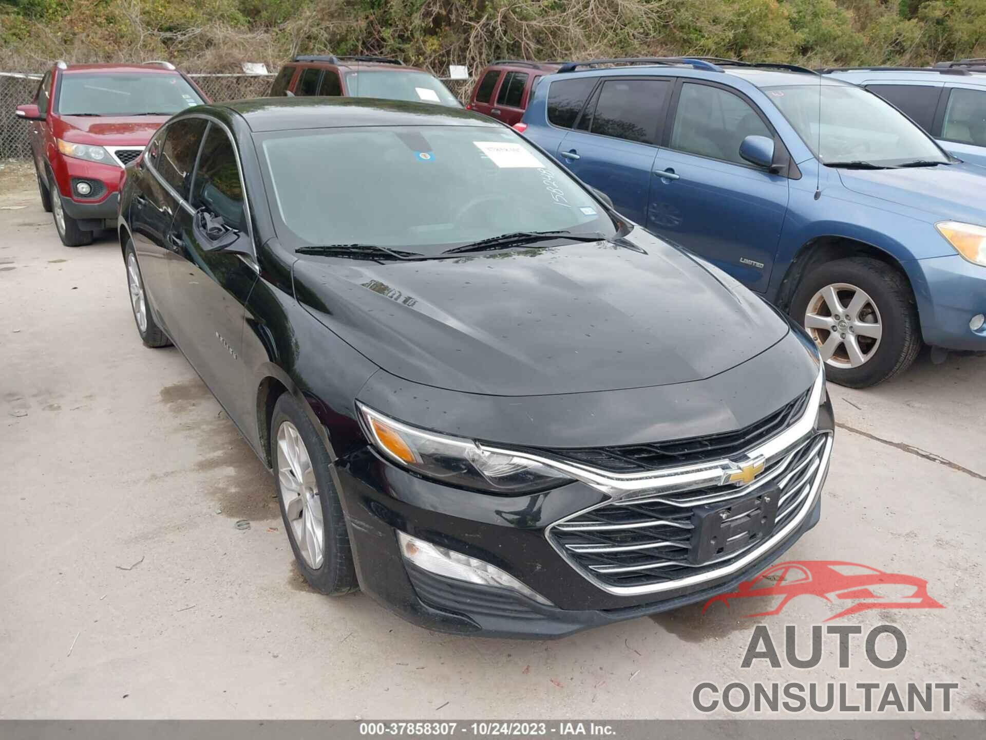 CHEVROLET MALIBU 2019 - 1G1ZD5ST0KF158248