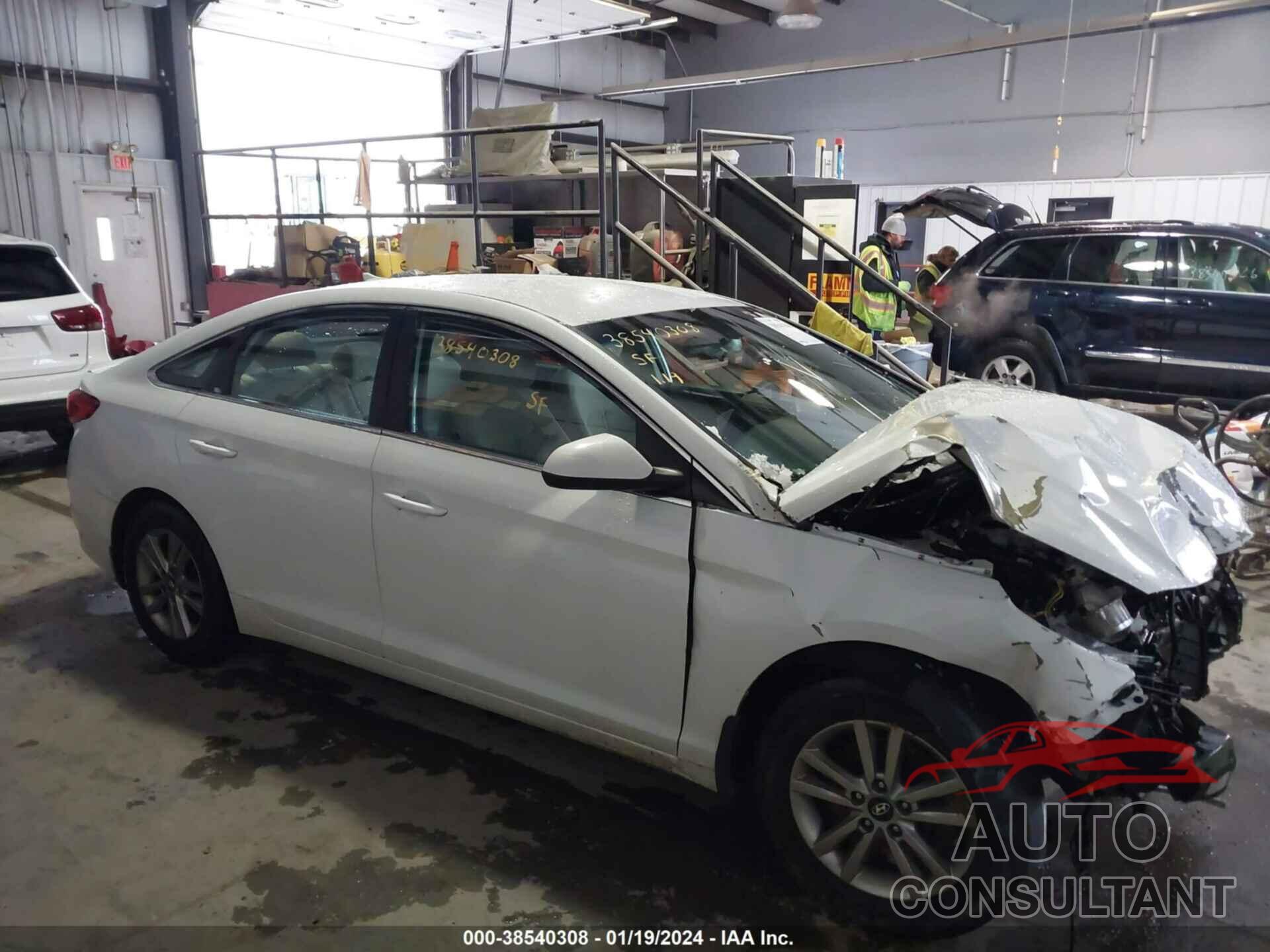 HYUNDAI SONATA 2016 - 5NPE24AF3GH407494