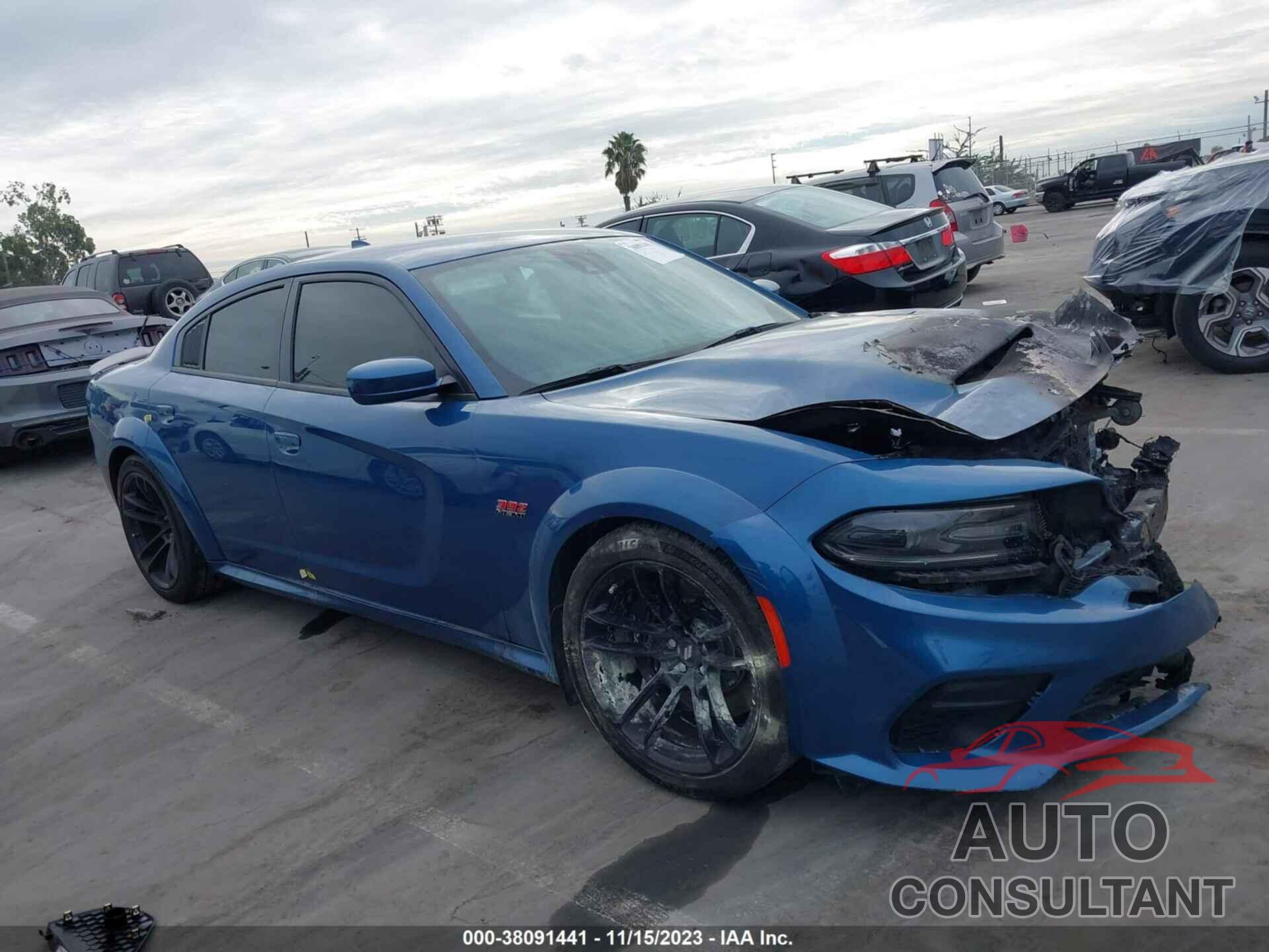 DODGE CHARGER 2021 - 2C3CDXGJXMH519541