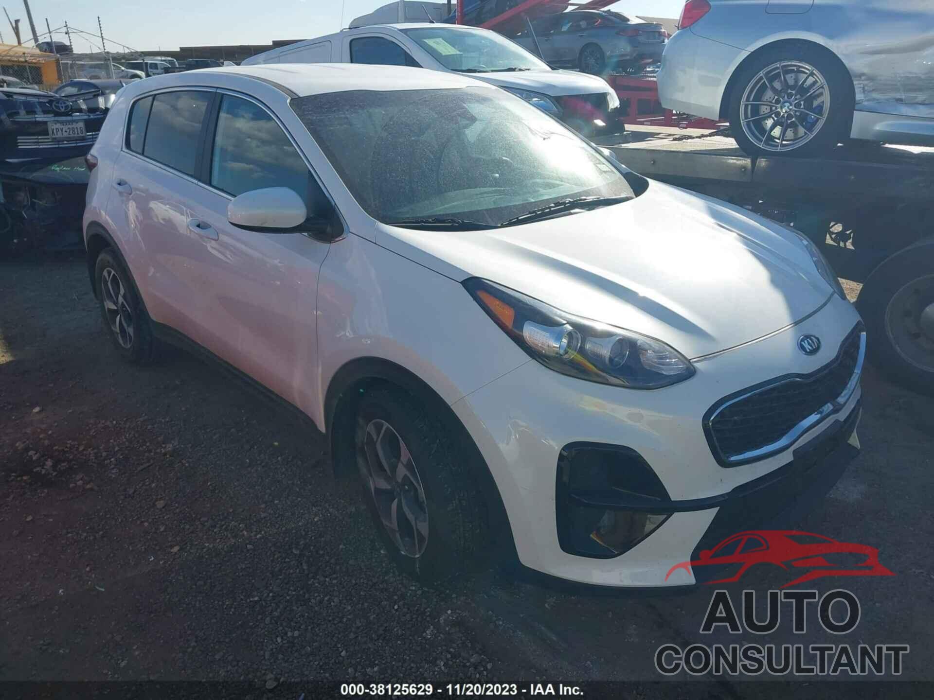 KIA SPORTAGE 2022 - KNDPM3AC8N7996241
