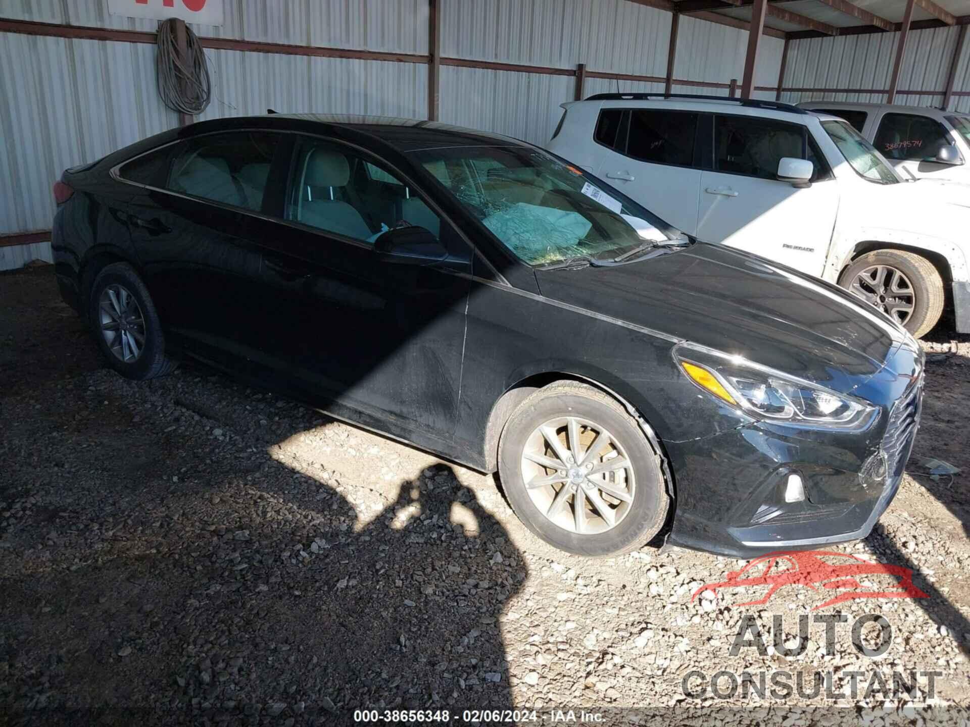 HYUNDAI SONATA 2019 - 5NPE24AF8KH759396