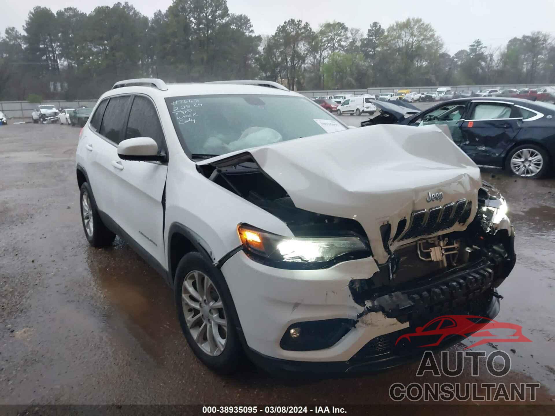 JEEP CHEROKEE 2019 - 1C4PJLCB8KD396541