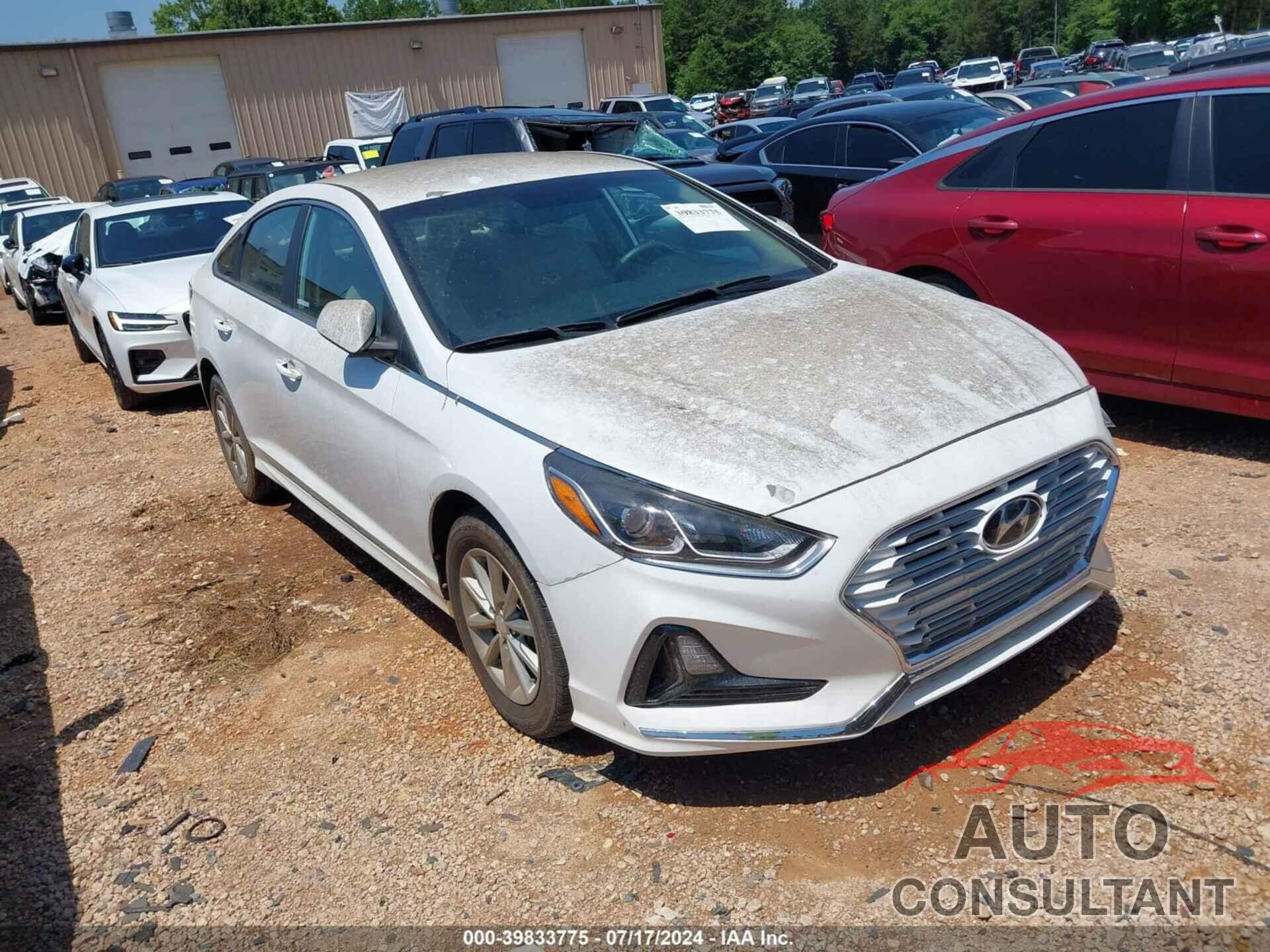 HYUNDAI SONATA 2019 - 5NPE24AF0KH793316