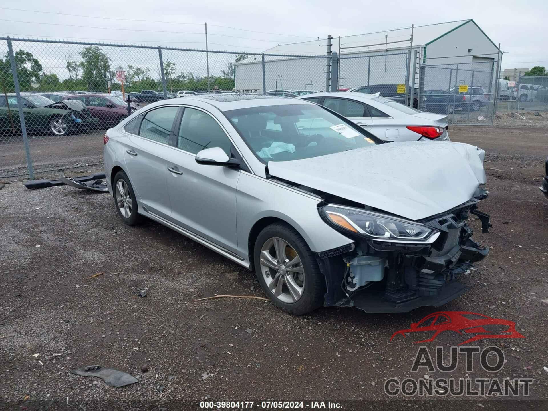 HYUNDAI SONATA 2019 - 5NPE34AF1KH784699