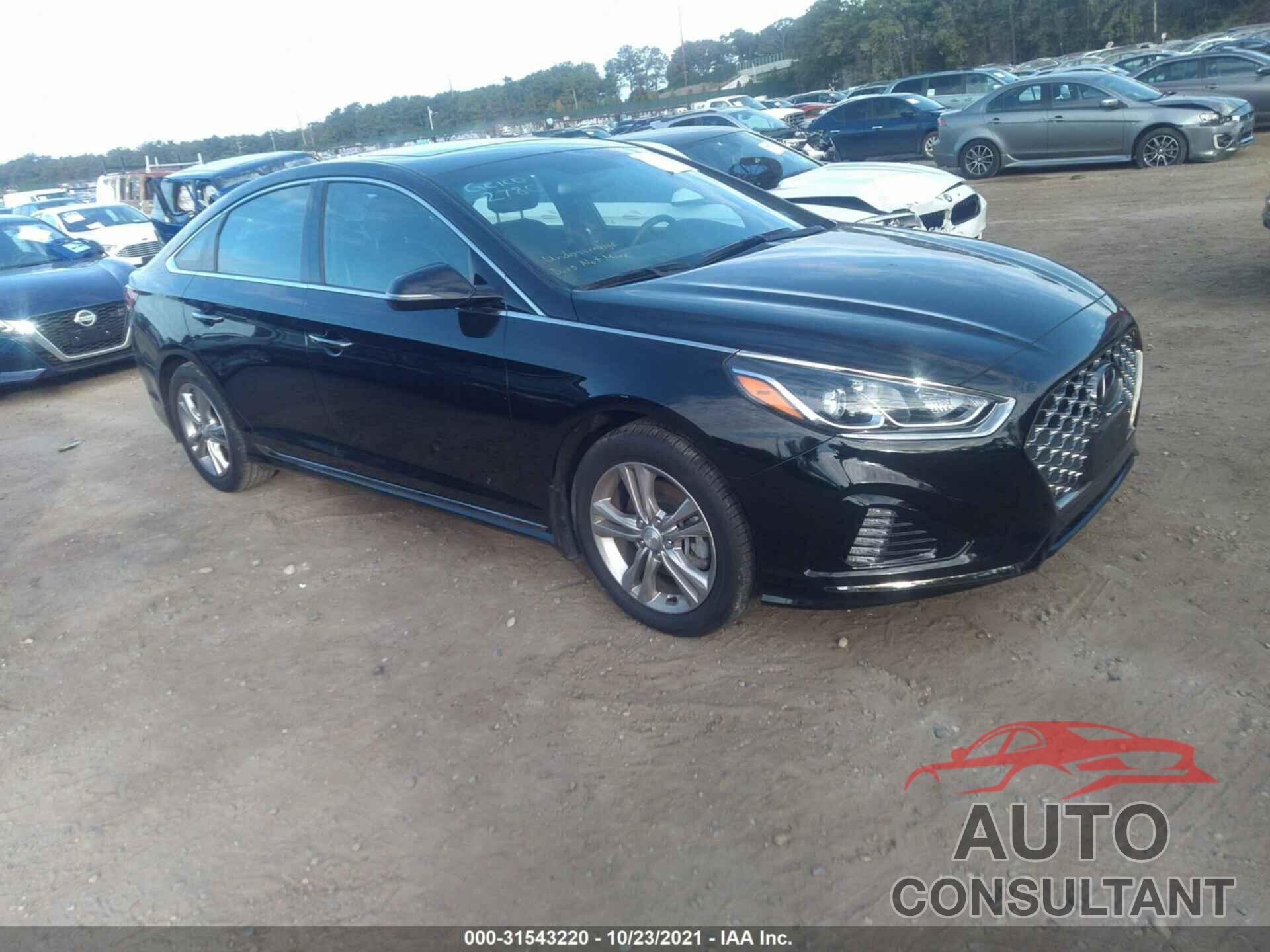HYUNDAI SONATA 2019 - 5NPE34AF9KH820963