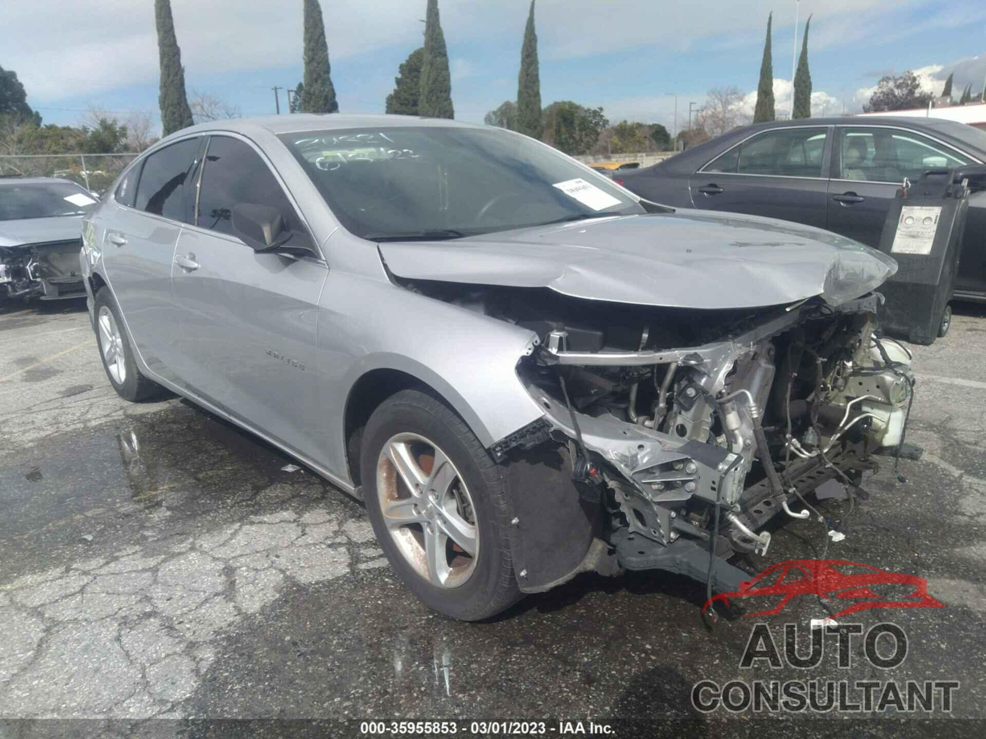 CHEVROLET MALIBU 2019 - 1G1ZB5ST4KF207215