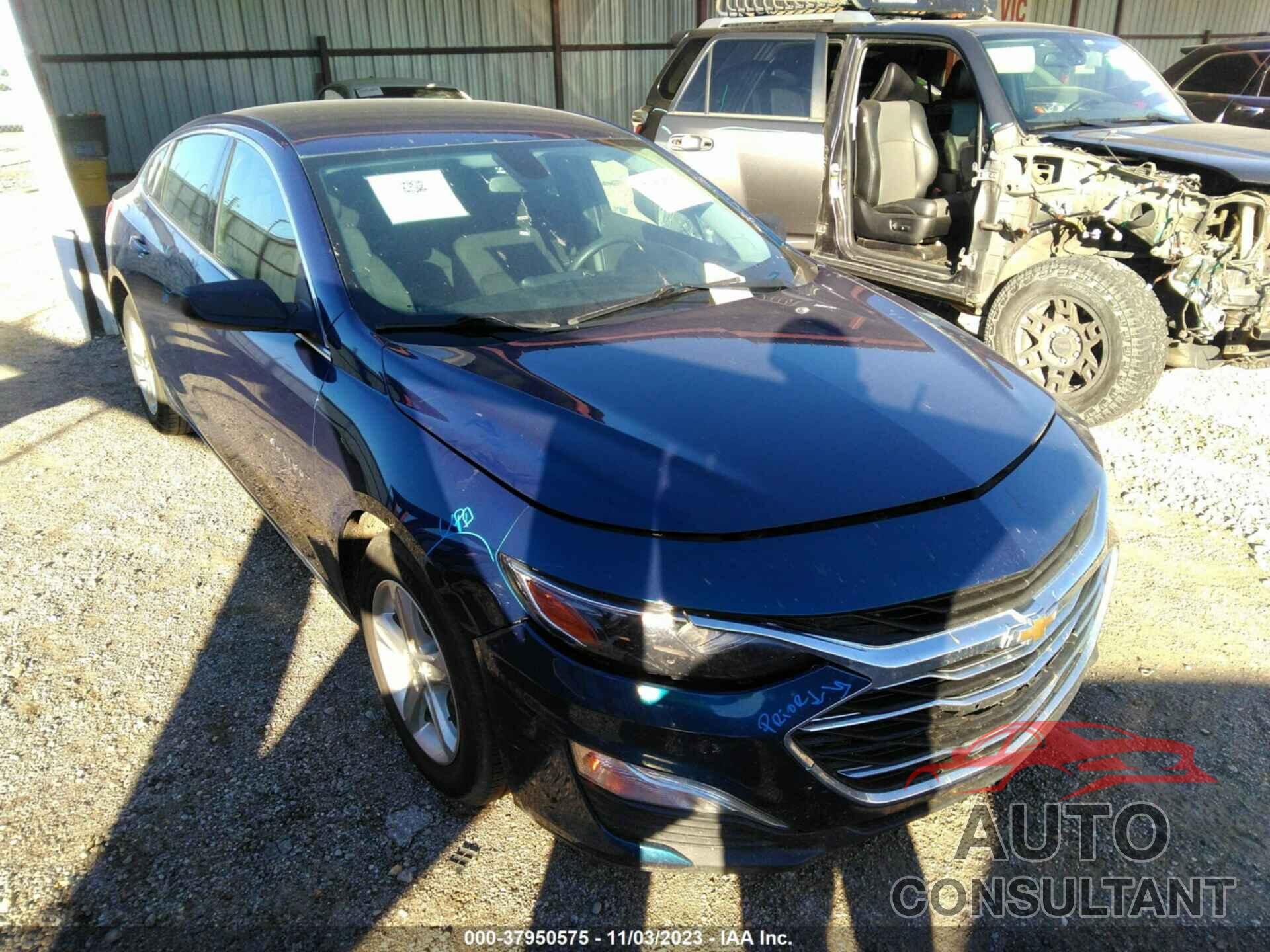 CHEVROLET MALIBU 2019 - 1G1ZB5ST7KF172749