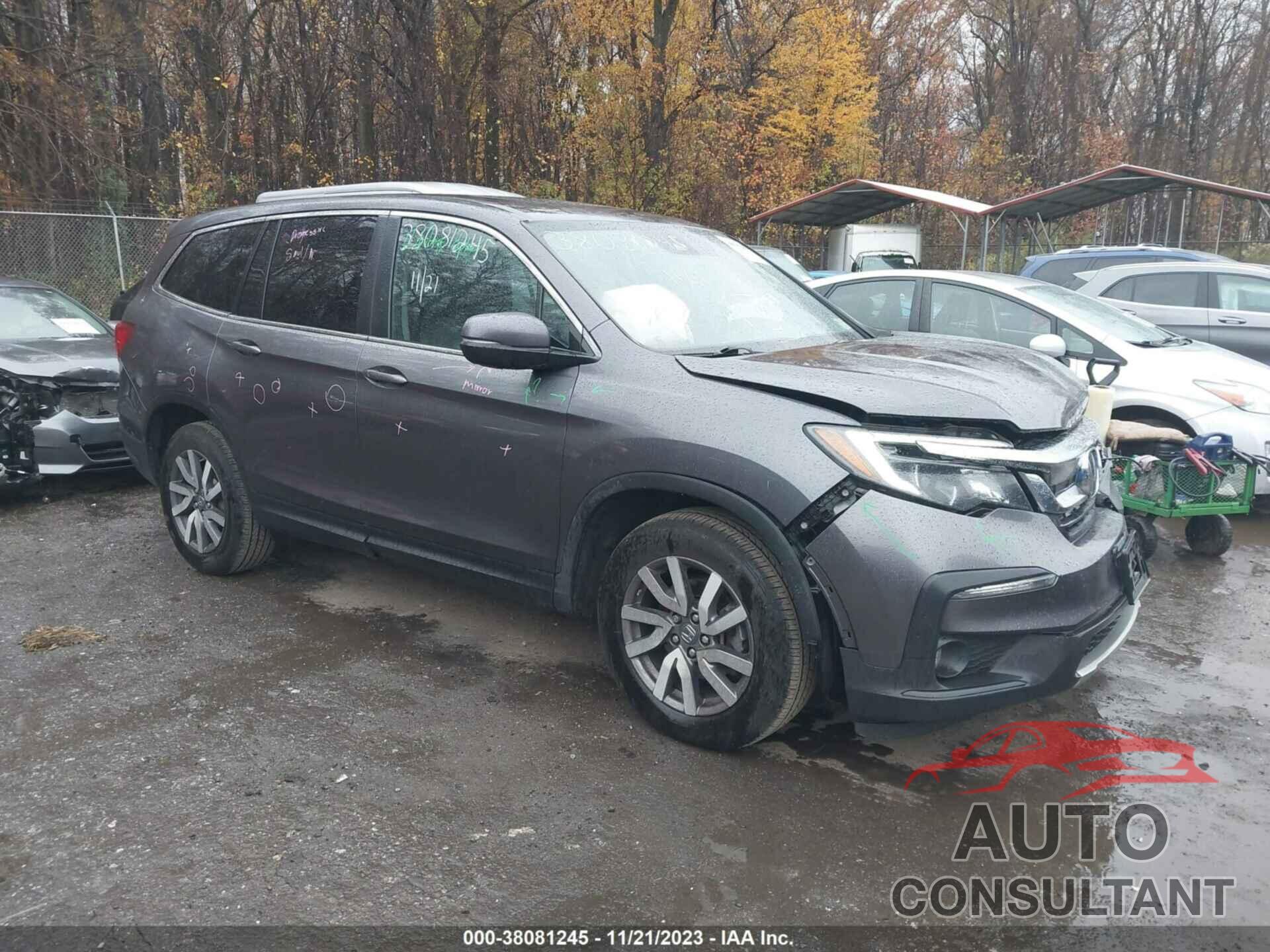 HONDA PILOT 2019 - 5FNYF6H58KB031618