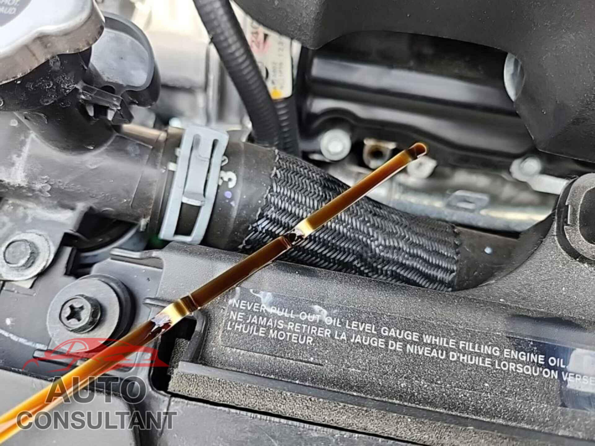 NISSAN MAXIMA 2023 - 1N4AA6CV2PC503880