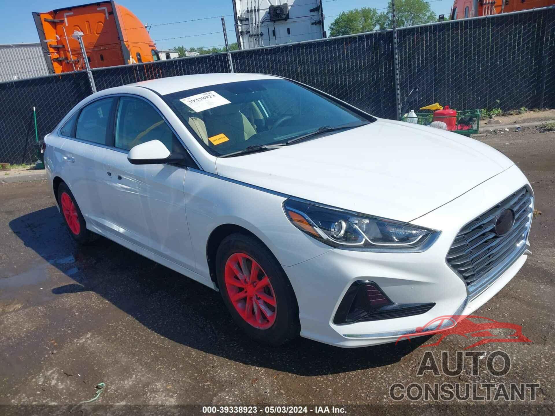 HYUNDAI SONATA 2019 - 5NPE24AFXKH818917