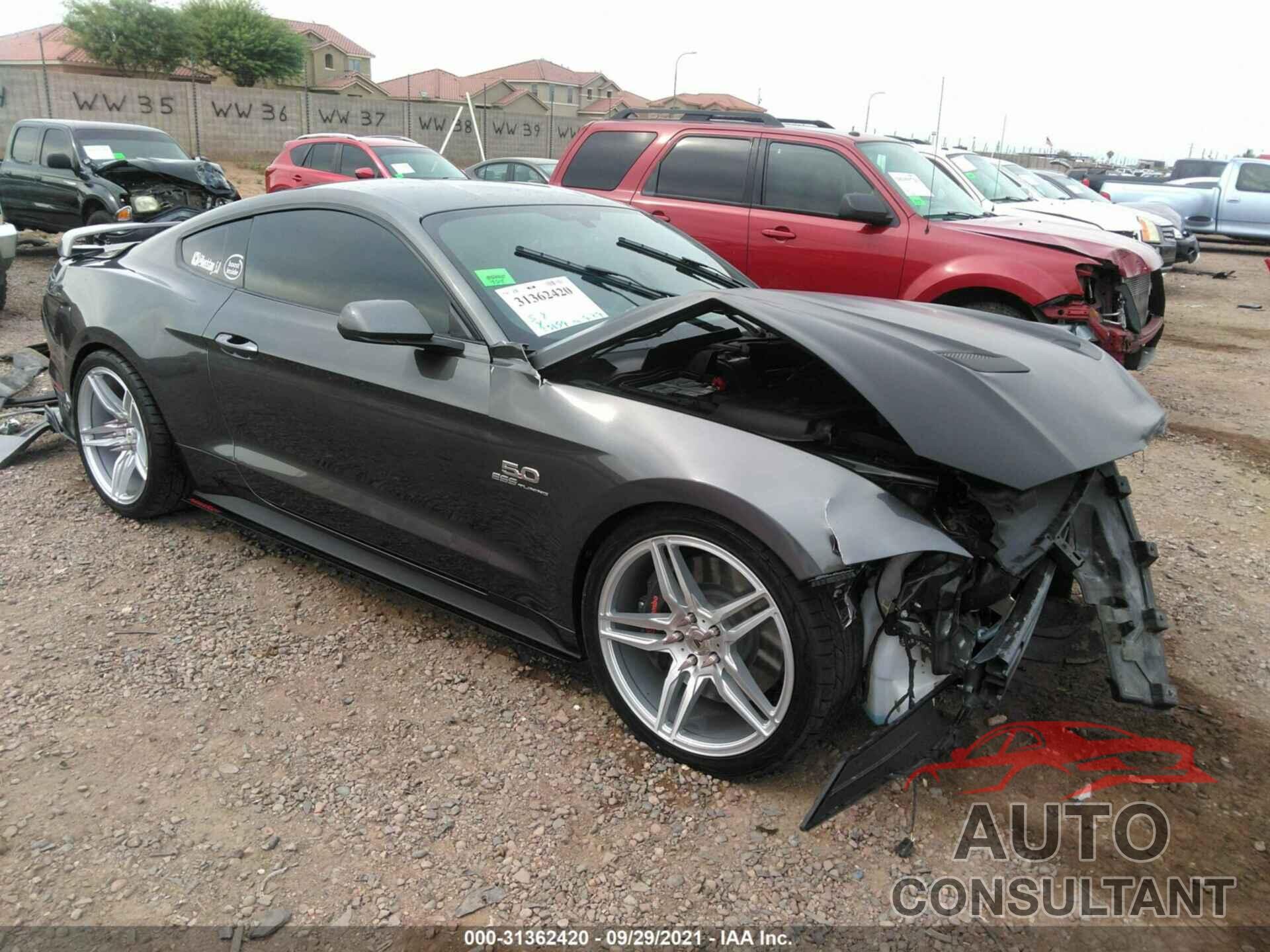 FORD MUSTANG 2019 - 1FA6P8CF2K5138199