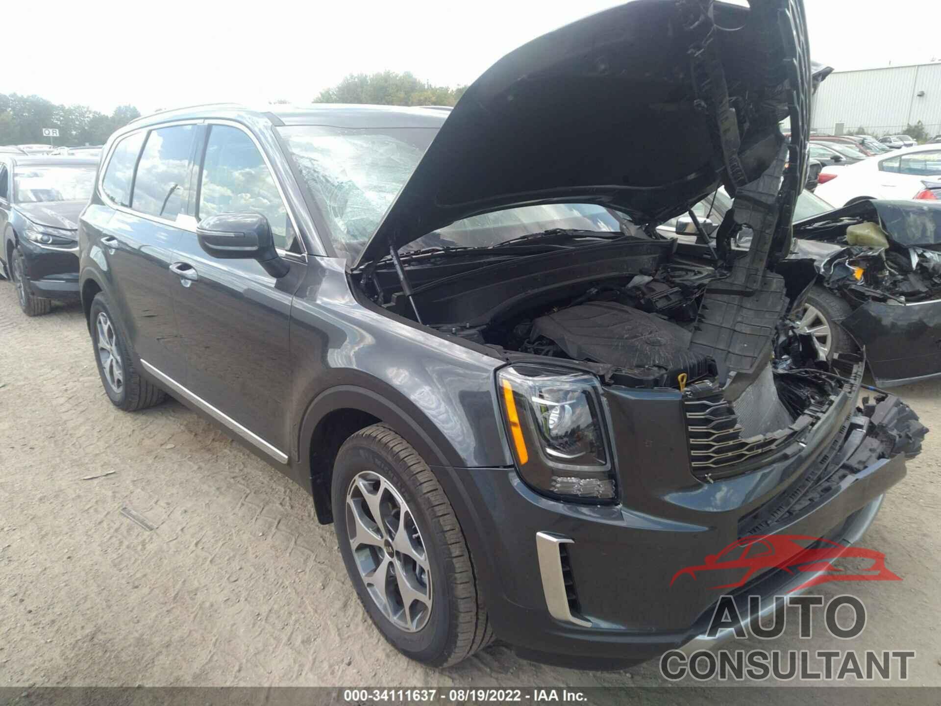 KIA TELLURIDE 2021 - 5XYP3DHCXMG133098