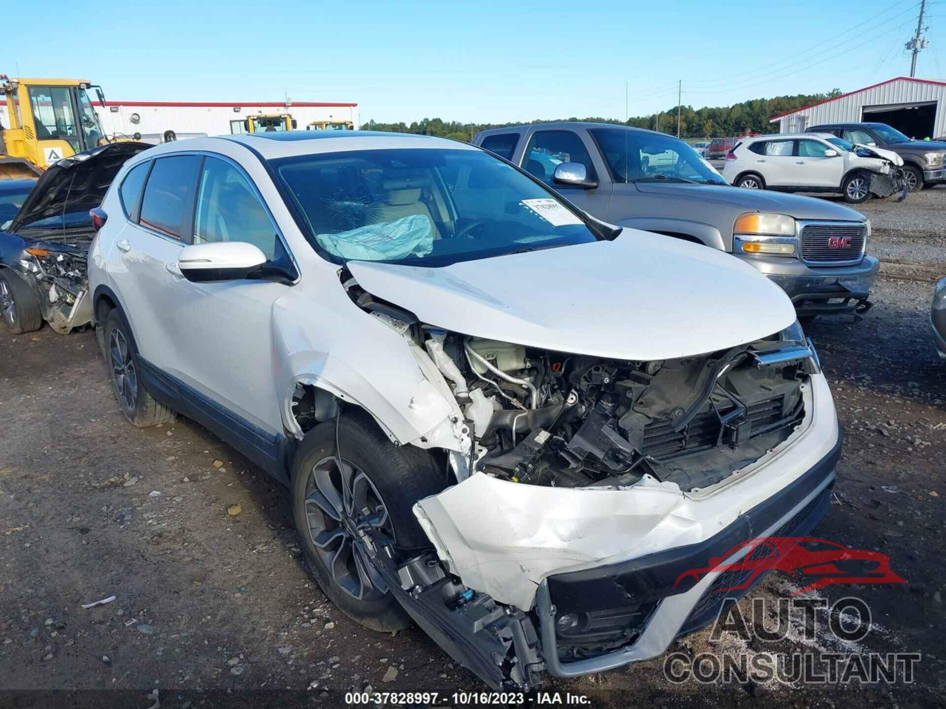 HONDA CR-V 2021 - 2HKRW2H56MH656892