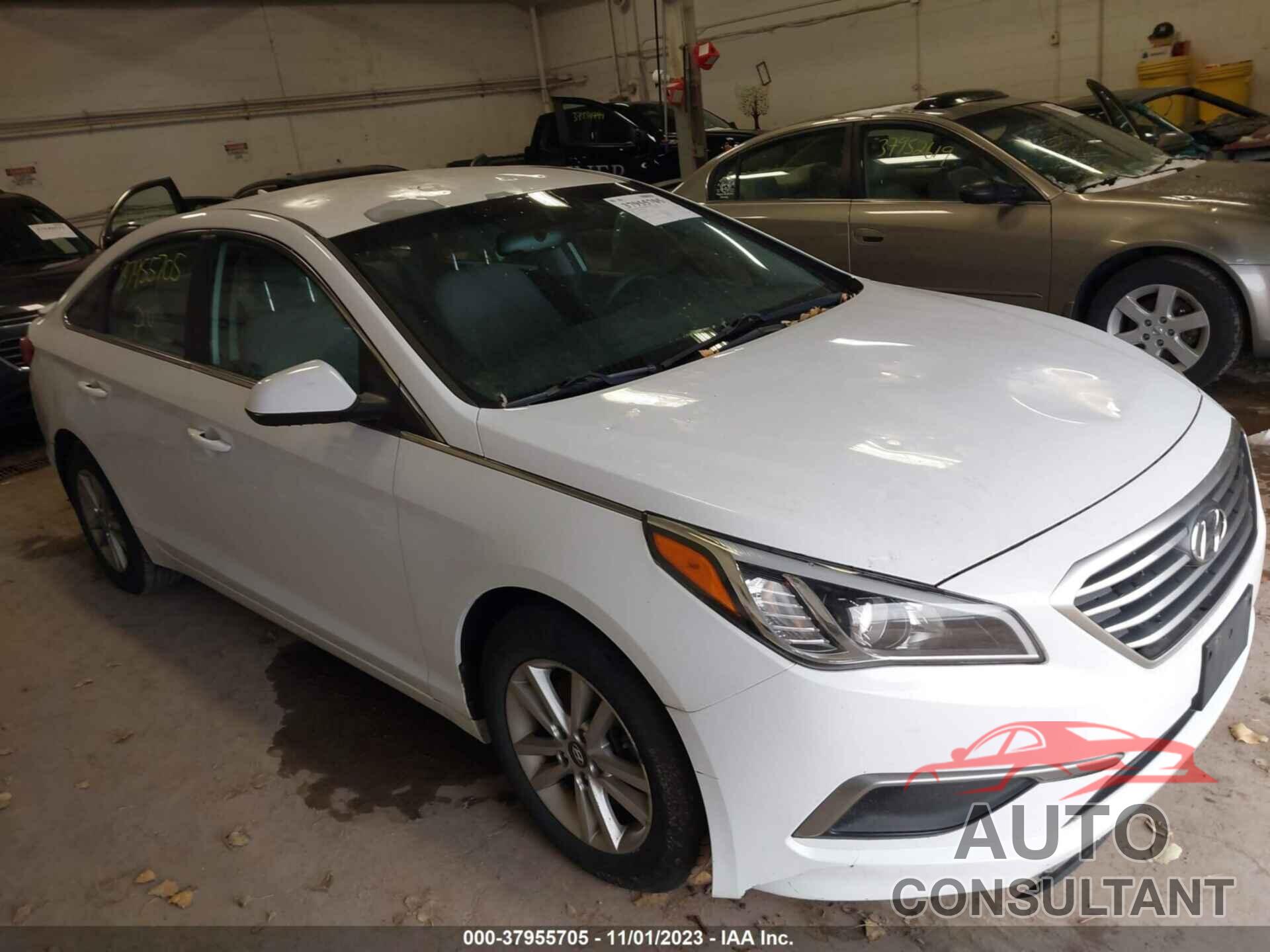HYUNDAI SONATA 2016 - 5NPE24AF4GH350867