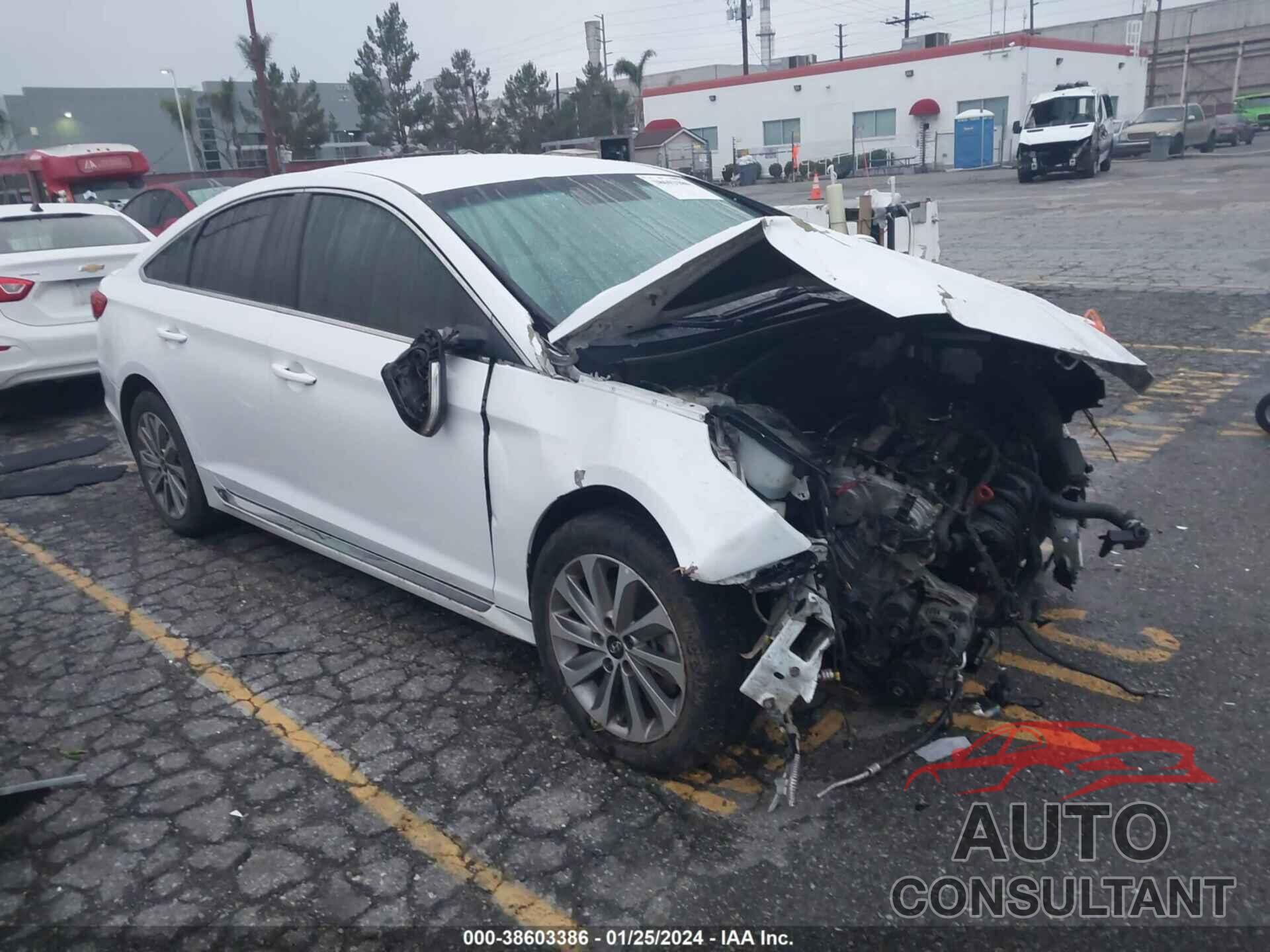 HYUNDAI SONATA 2017 - 5NPE34AF0HH506157