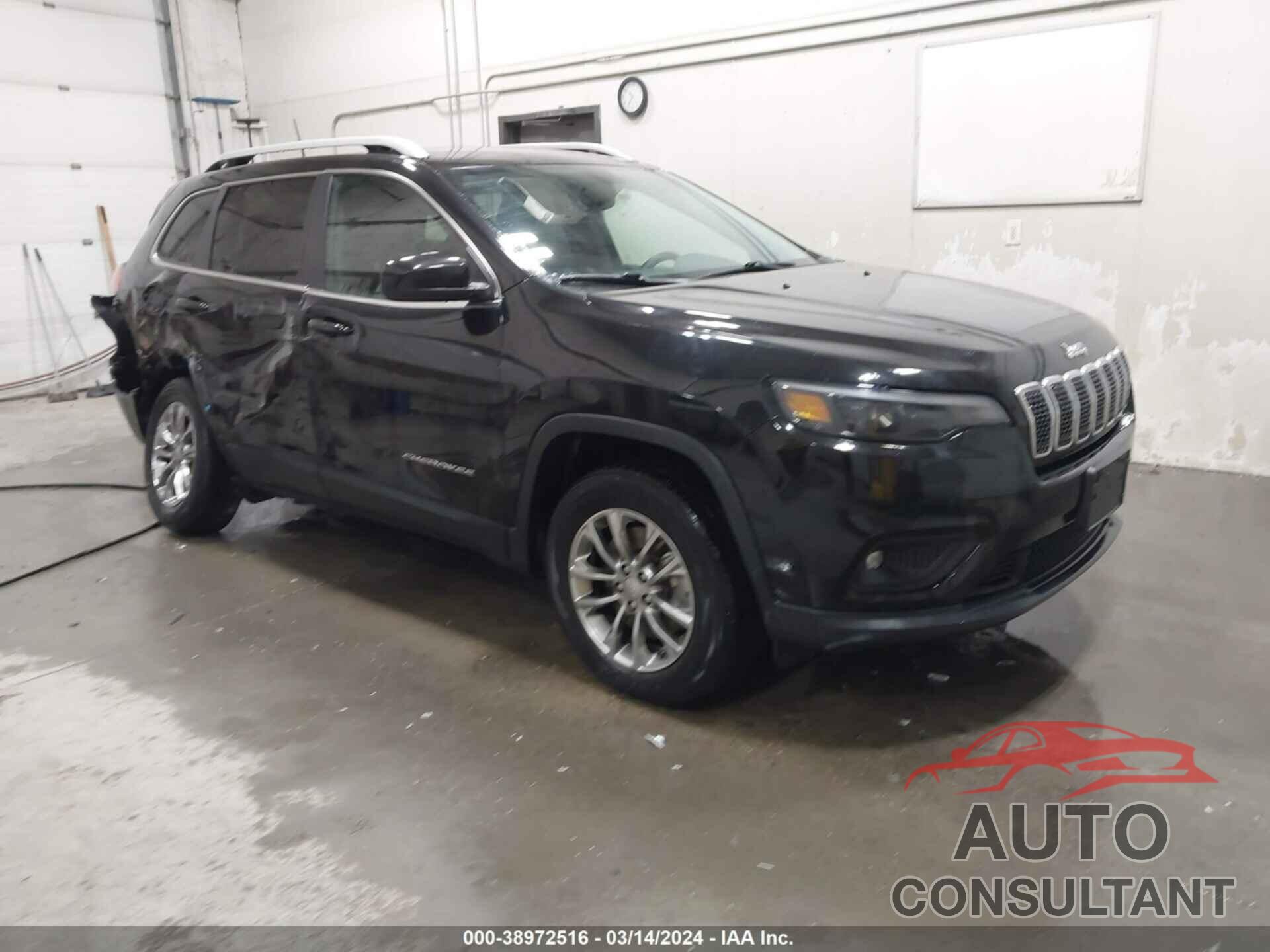 JEEP CHEROKEE 2019 - 1C4PJMLN0KD211432