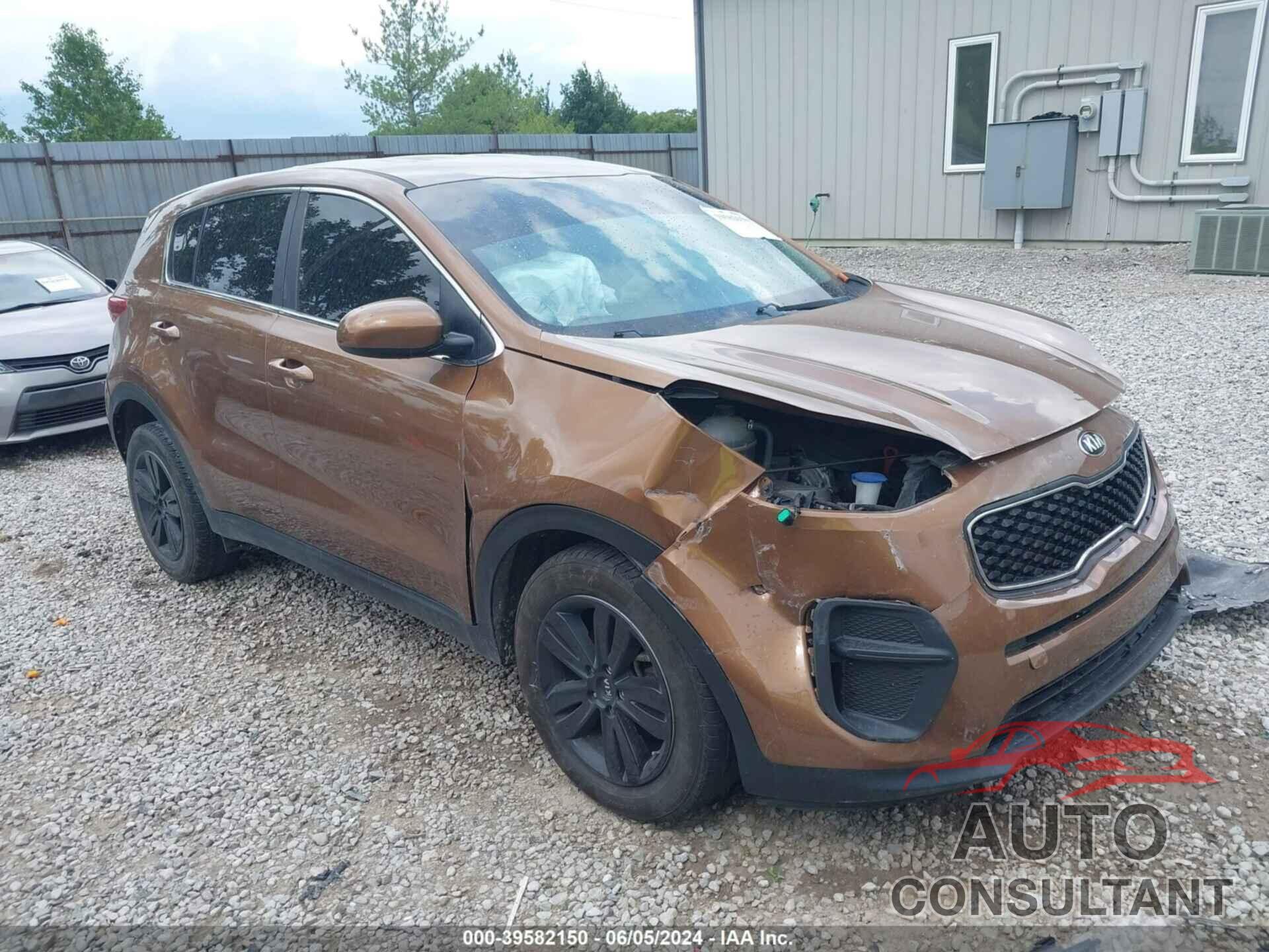 KIA SPORTAGE 2019 - KNDPM3AC2K7552462