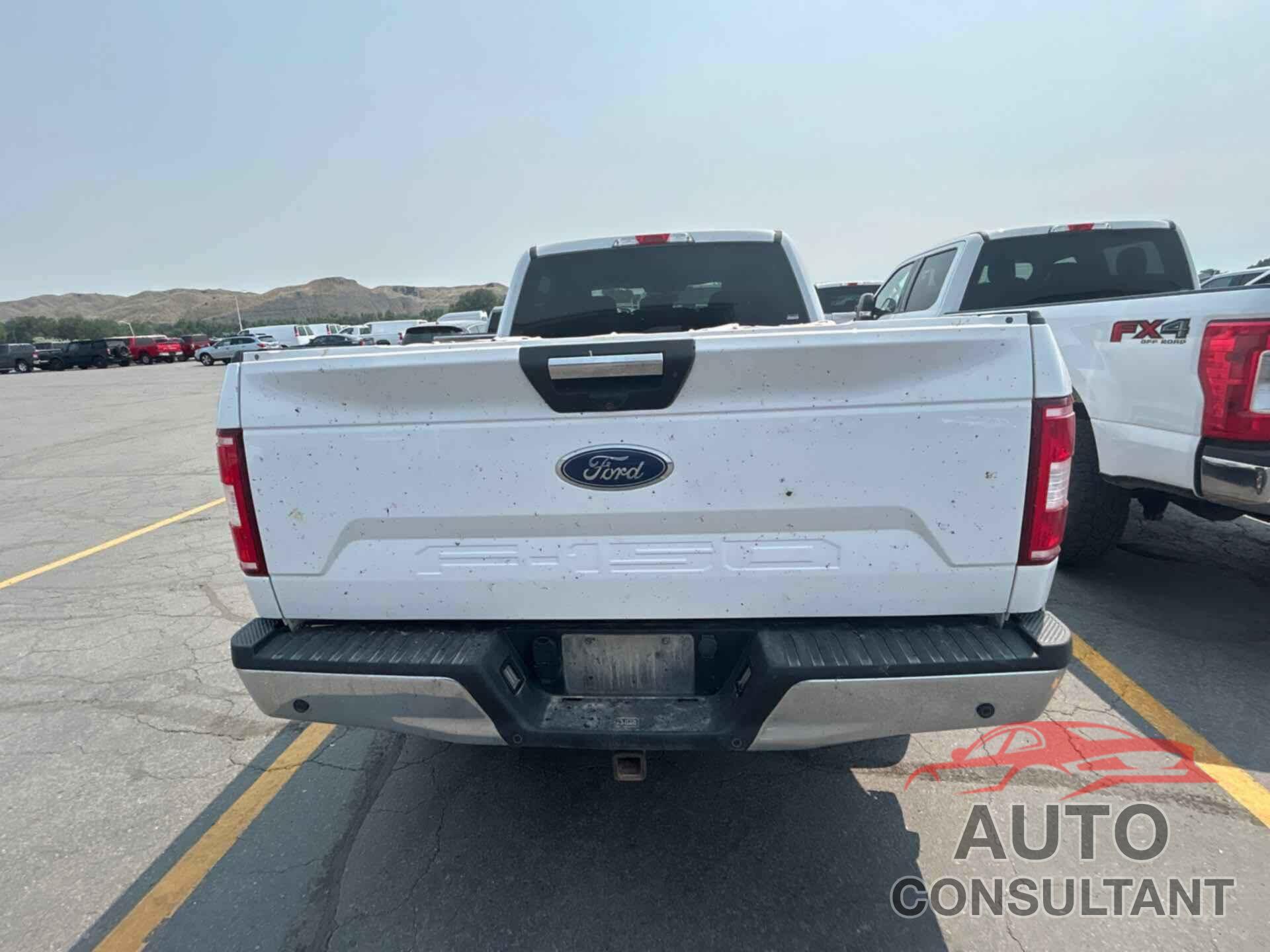 FORD F150 2020 - 1FTFW1E59LKD52814