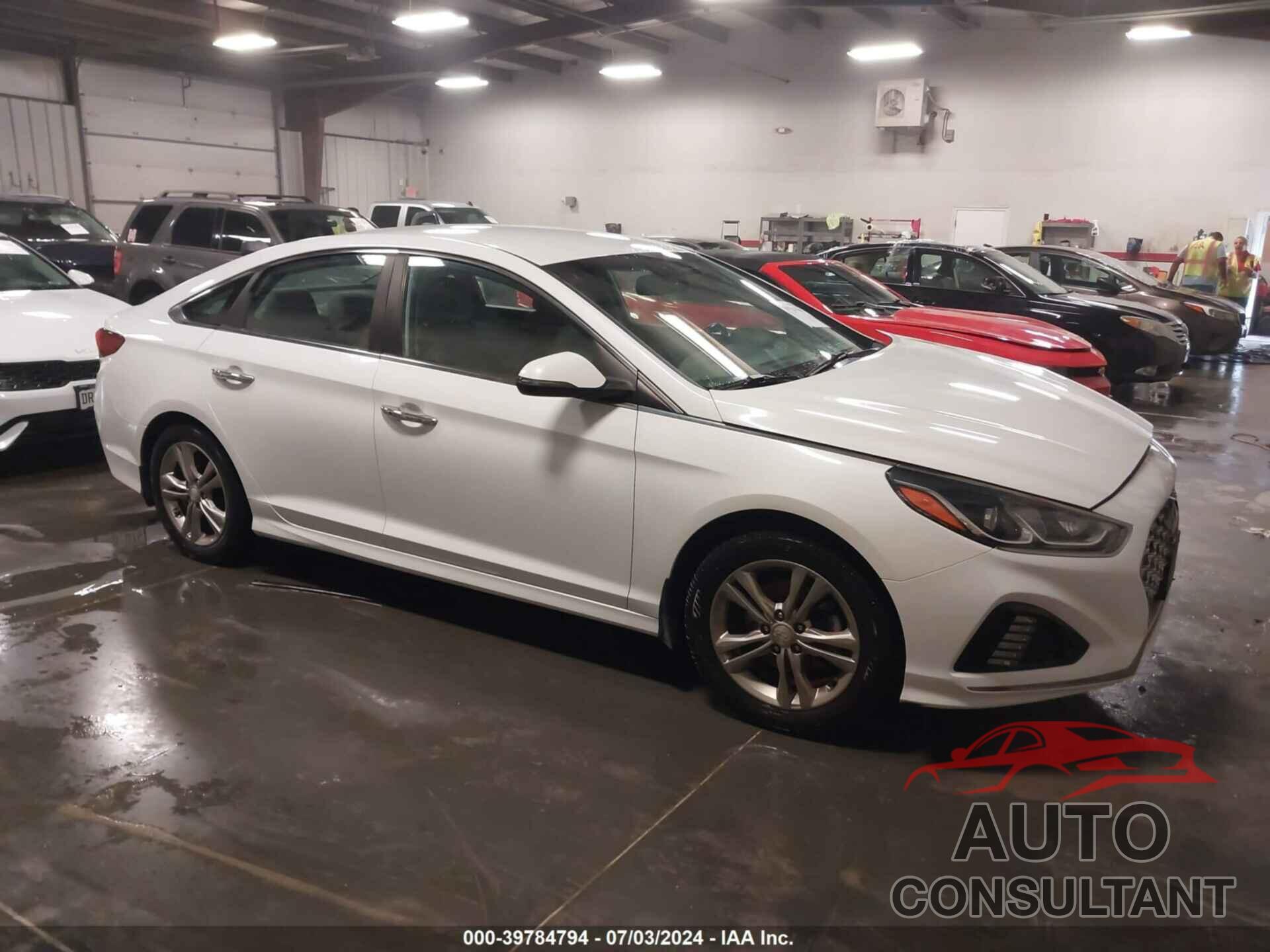 HYUNDAI SONATA 2019 - 5NPE34AF8KH812210