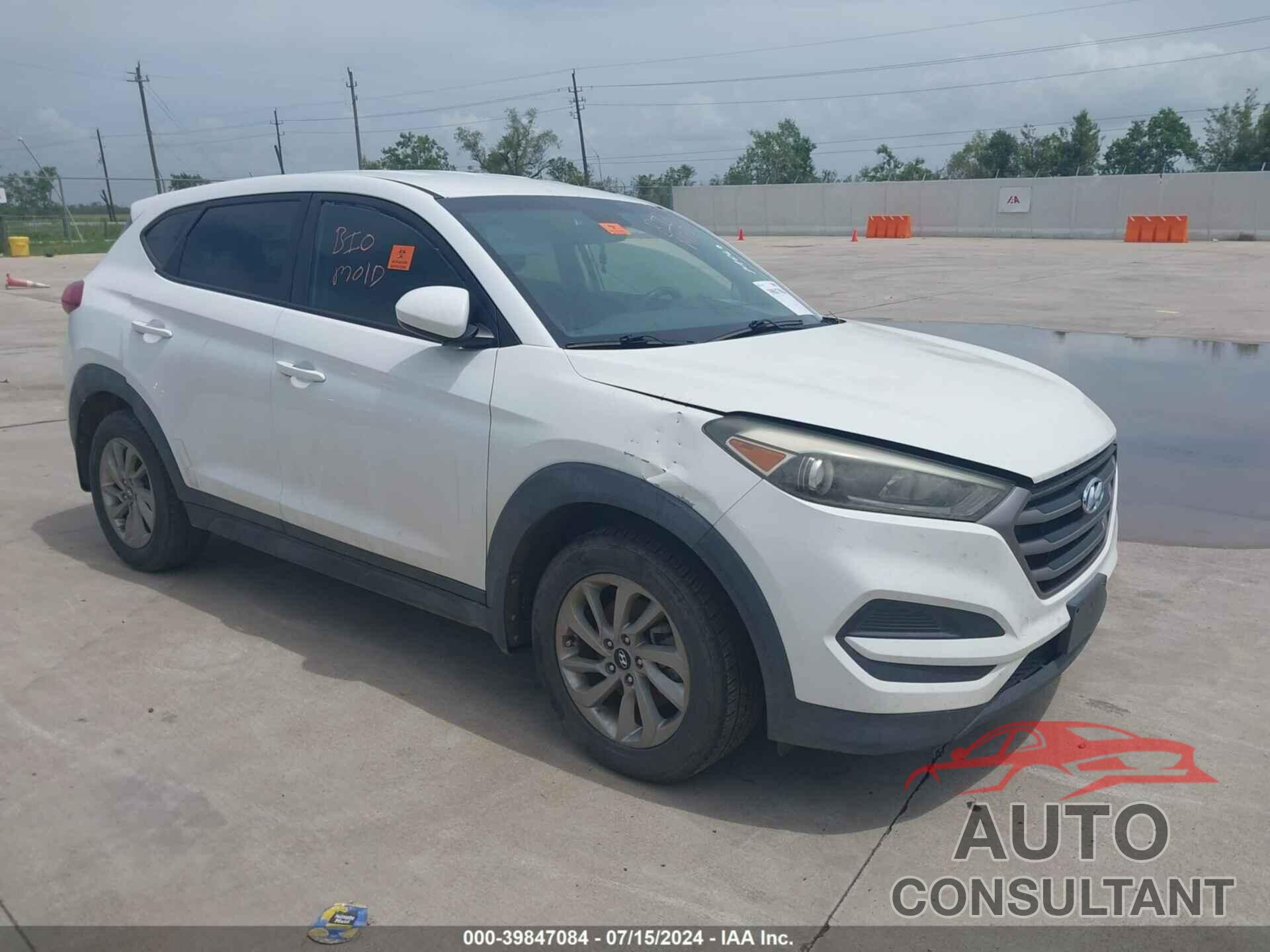 HYUNDAI TUCSON 2016 - KM8J23A41GU089335