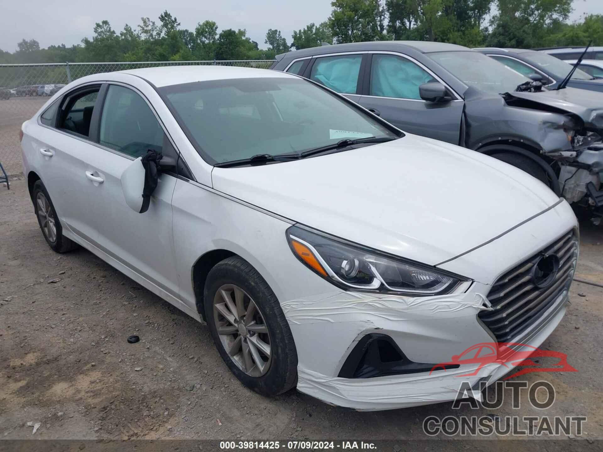 HYUNDAI SONATA 2018 - 5NPE24AF5JH696661