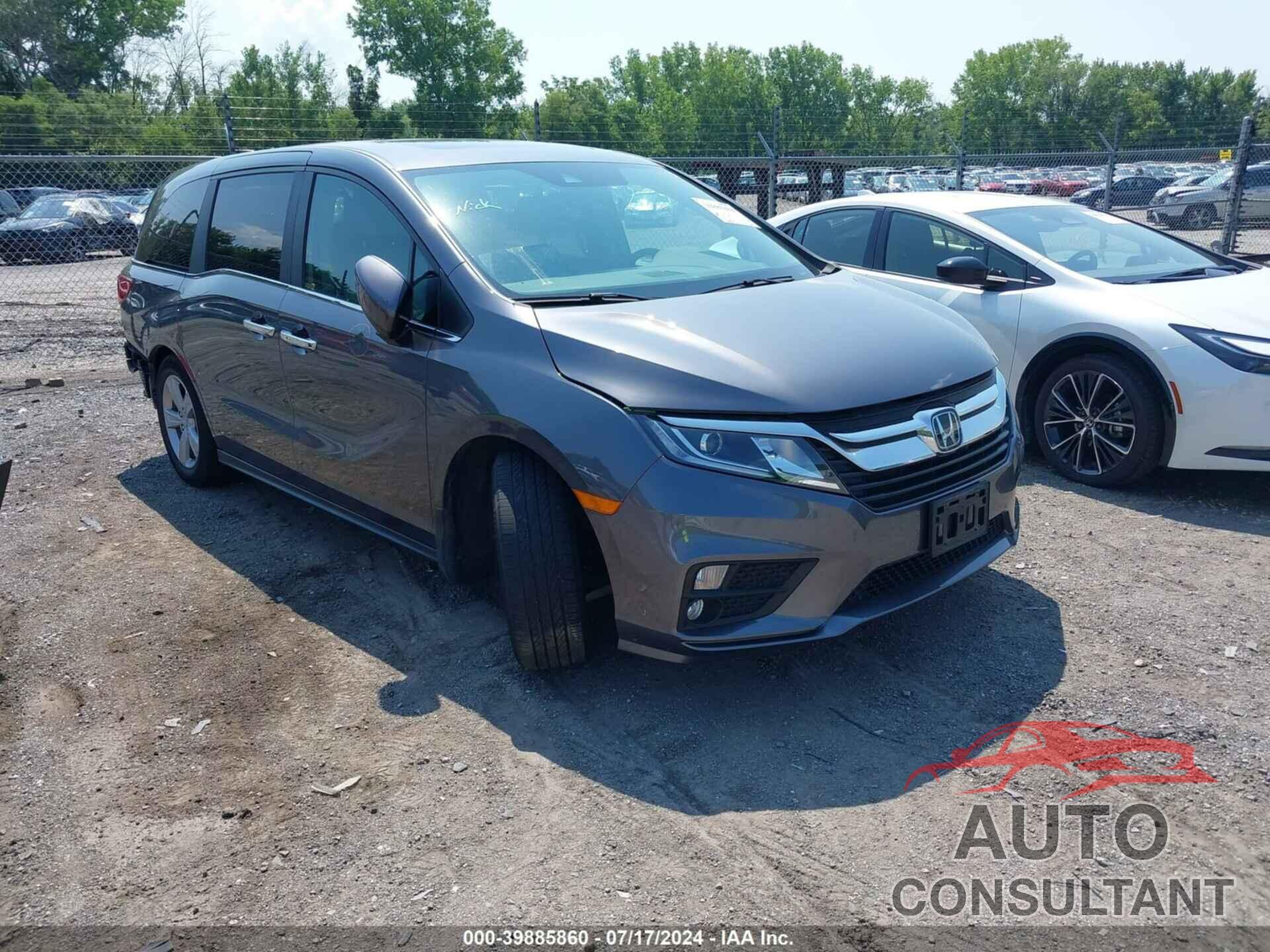 HONDA ODYSSEY 2019 - 5FNRL6H72KB123239