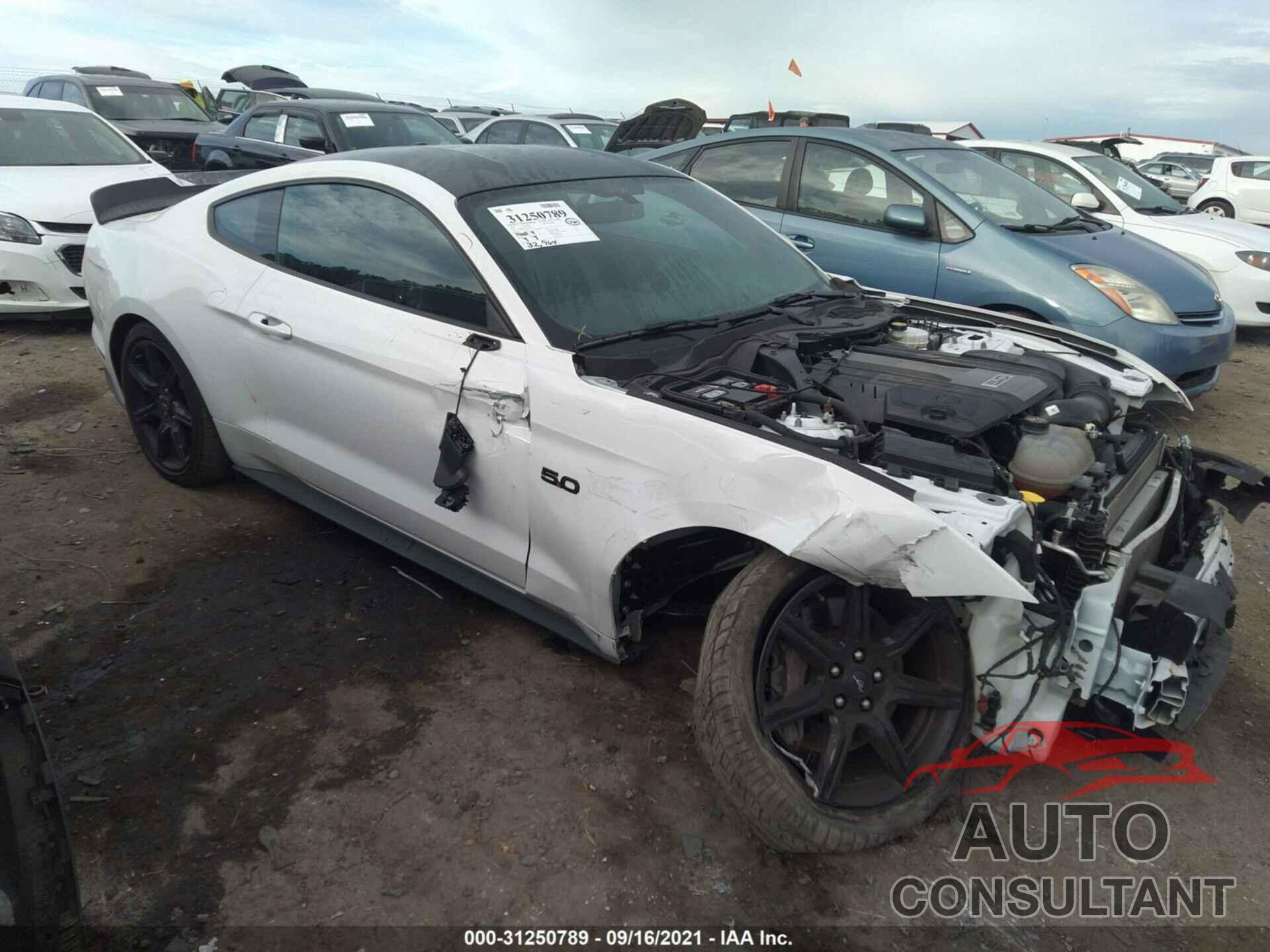 FORD MUSTANG 2019 - 1FA6P8CF7K5124234