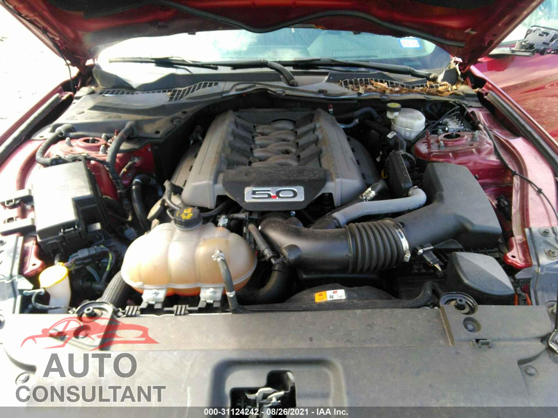 FORD MUSTANG 2017 - 1FA6P8CF2H5351842