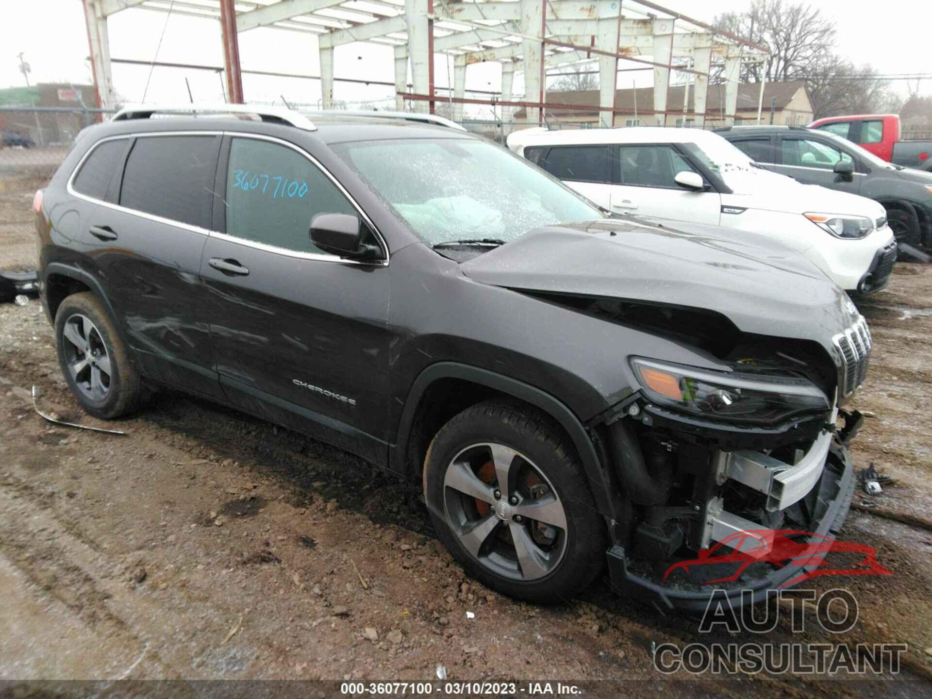 JEEP CHEROKEE 2019 - 1C4PJMDX4KD310450