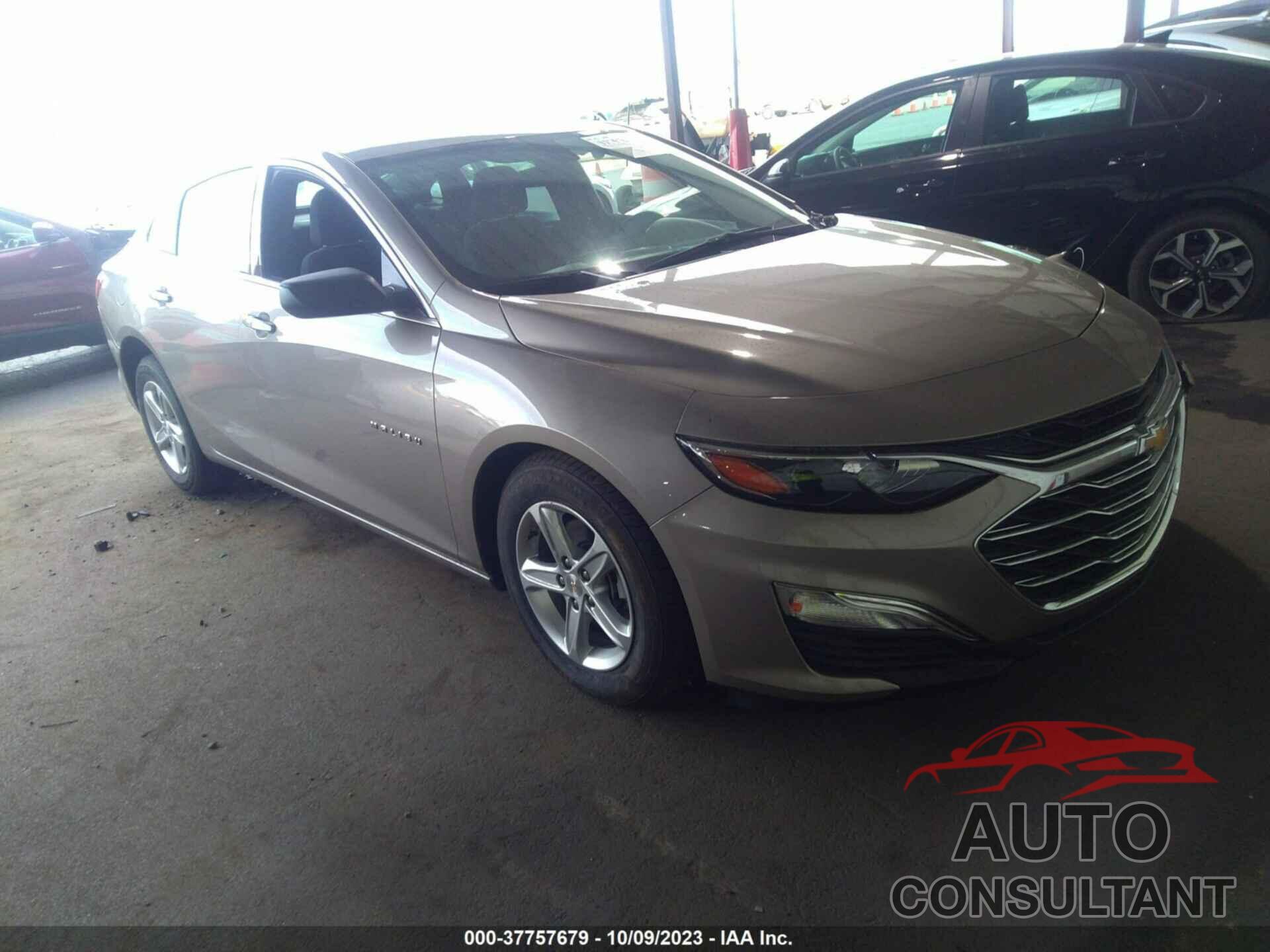 CHEVROLET MALIBU 2022 - 1G1ZB5ST9NF207960