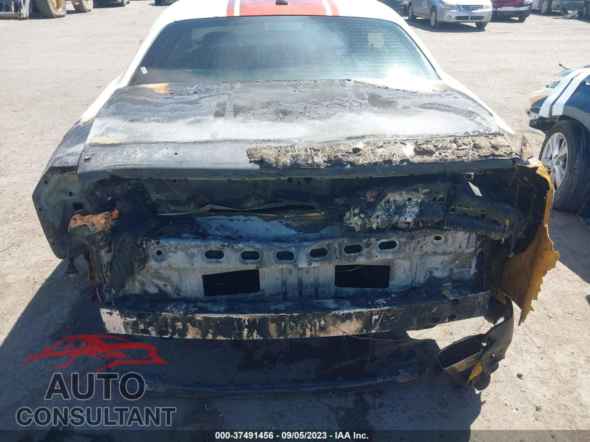 DODGE CHALLENGER 2019 - 2C3CDZAG2KH687759