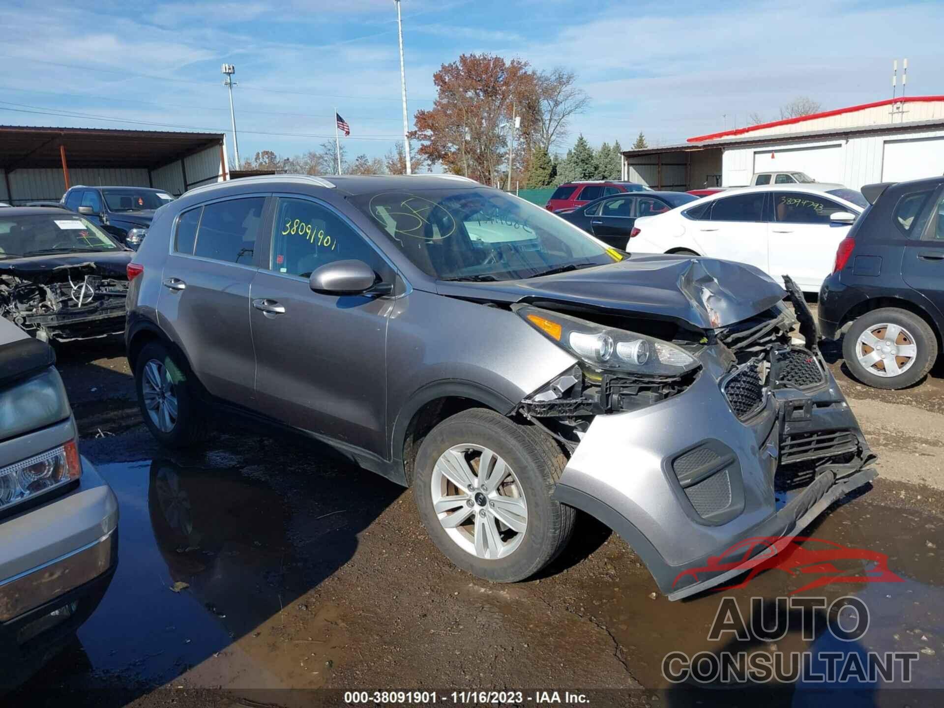 KIA SPORTAGE 2017 - KNDPM3AC4H7065840
