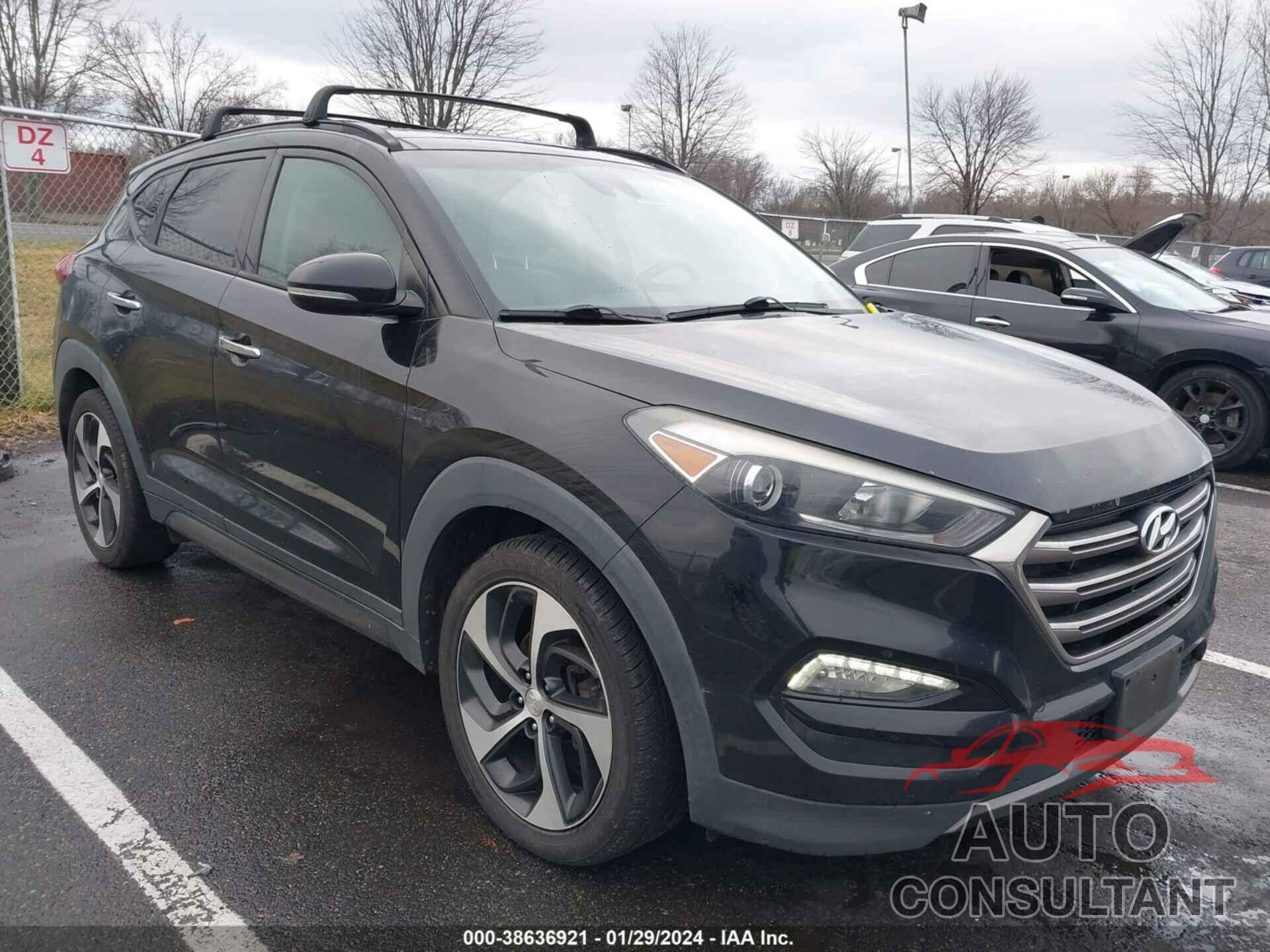 HYUNDAI TUCSON 2016 - KM8J33A26GU045603