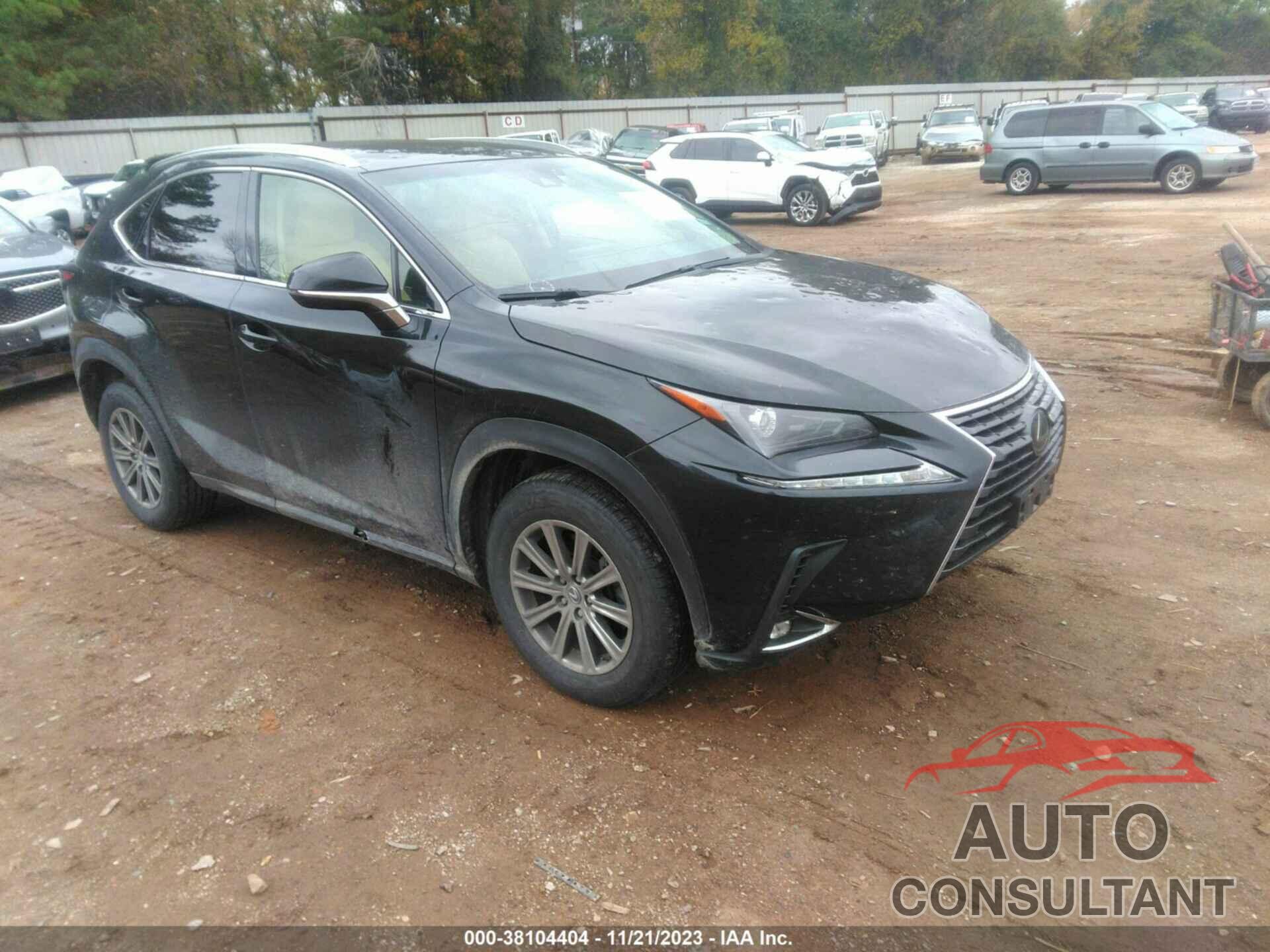 LEXUS NX 300 2019 - JTJYARBZXK2144501