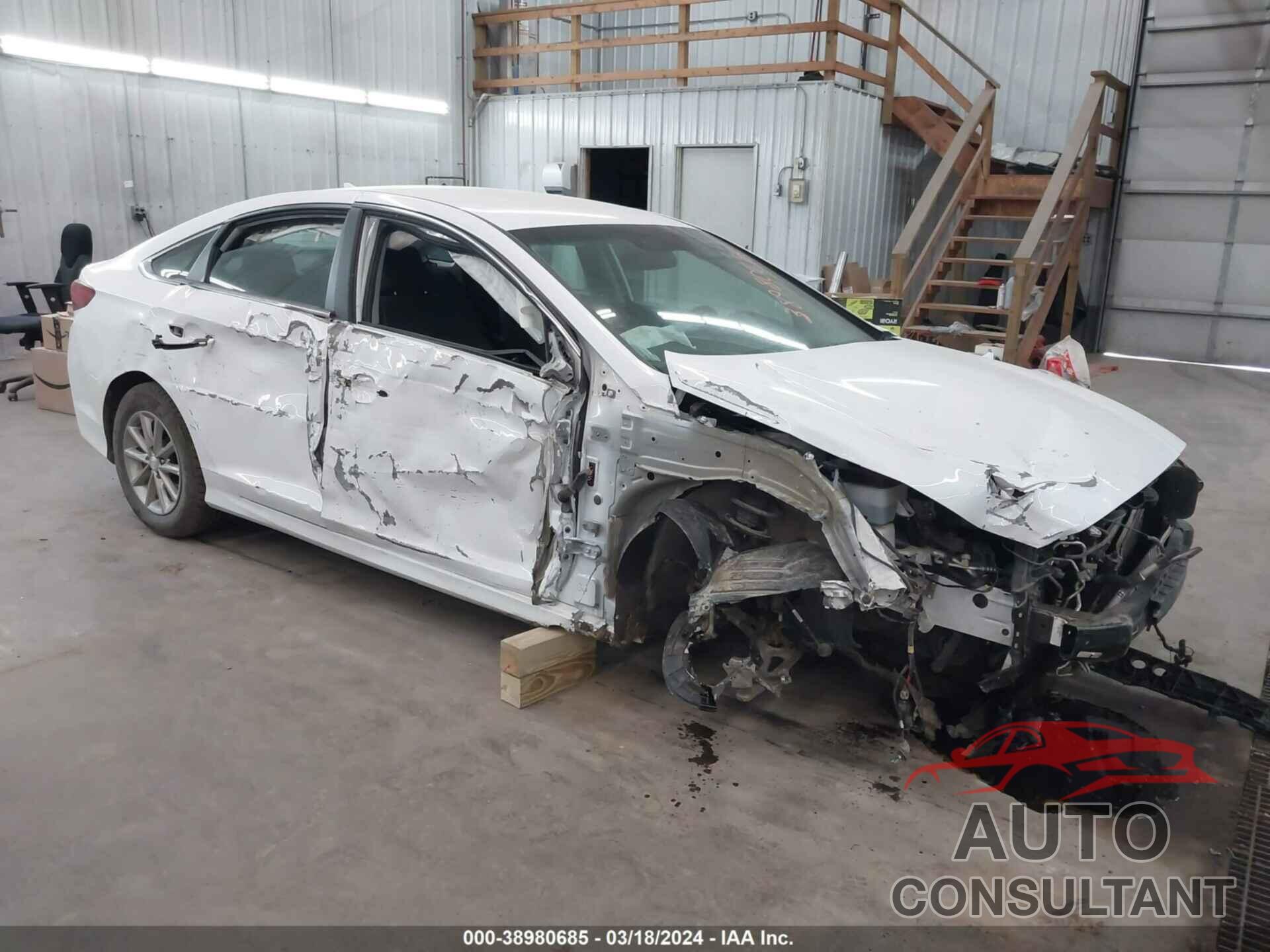 HYUNDAI SONATA 2019 - 5NPE24AFXKH801129
