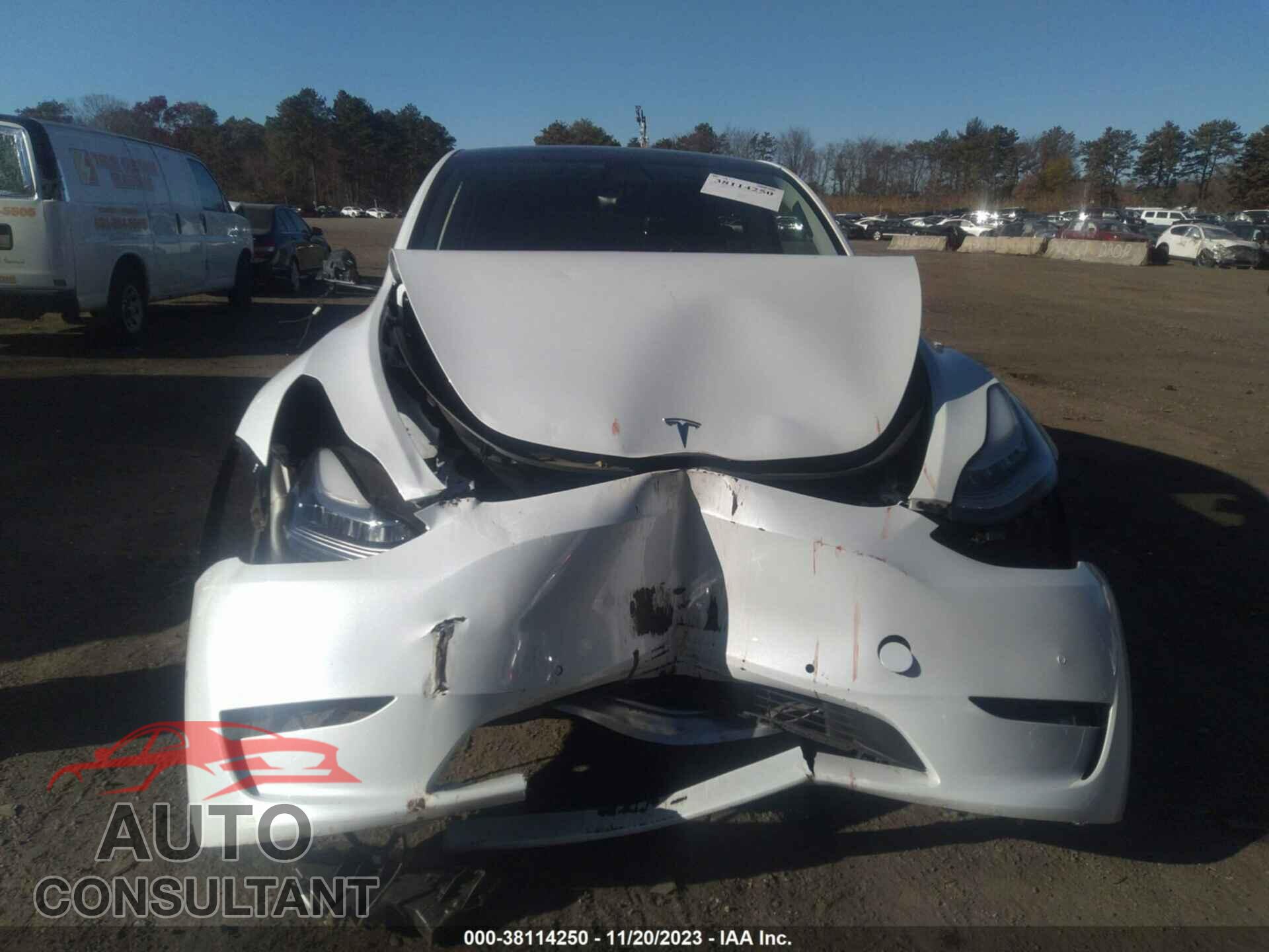 TESLA MODEL Y 2022 - 7SAYGDEE8NF435533