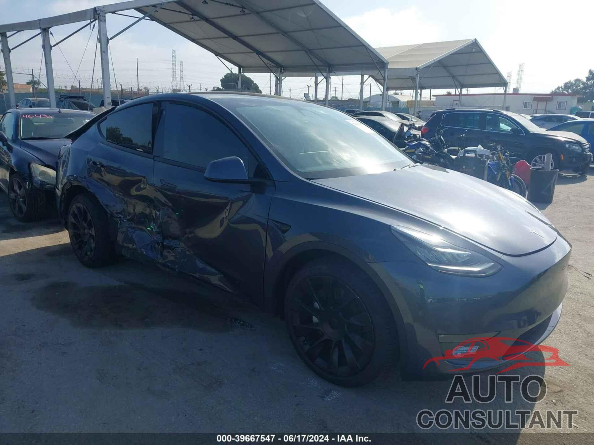 TESLA MODEL Y 2021 - 5YJYGDEE2MF079592