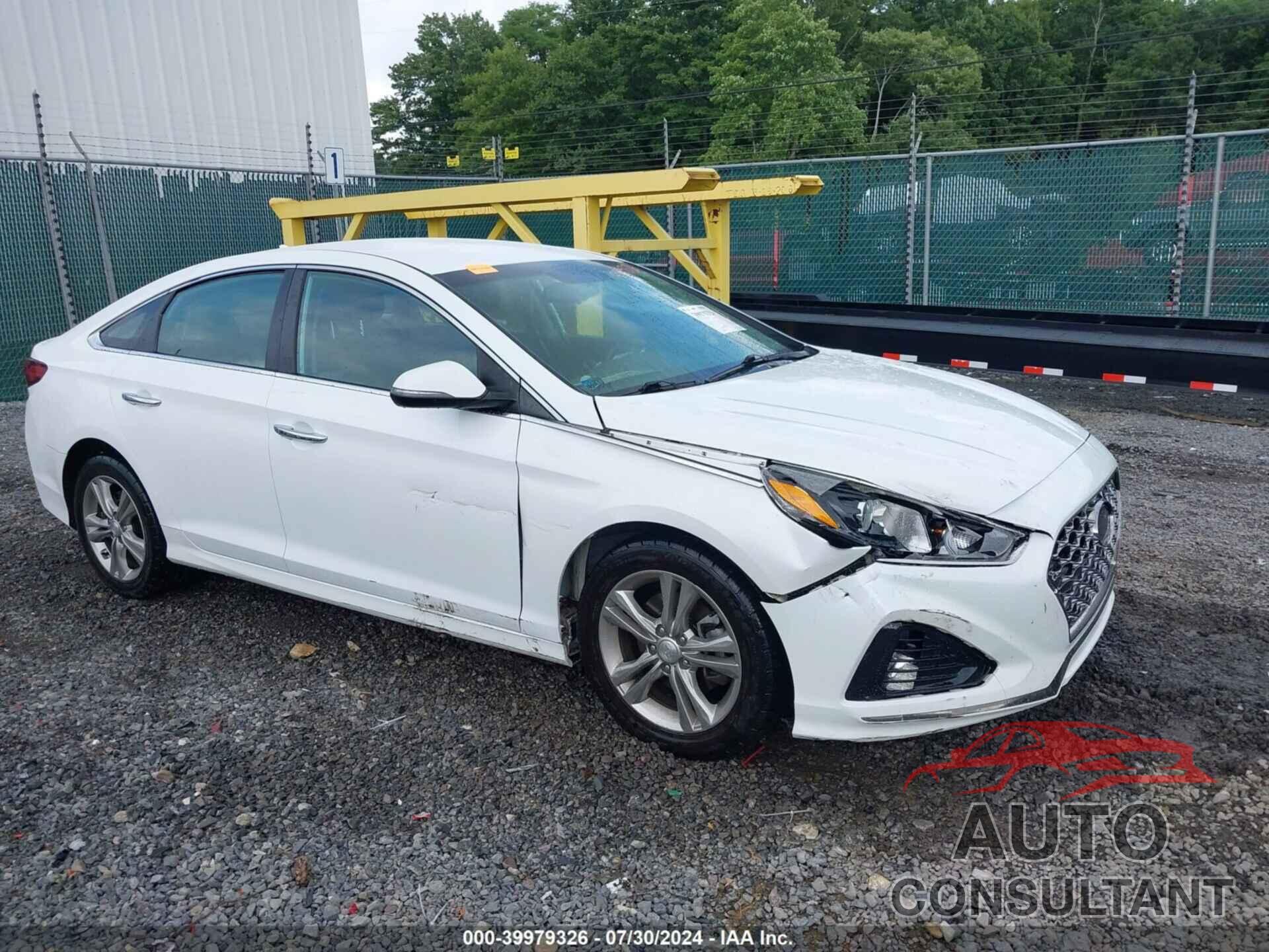 HYUNDAI SONATA 2019 - 5NPE34AF6KH754744