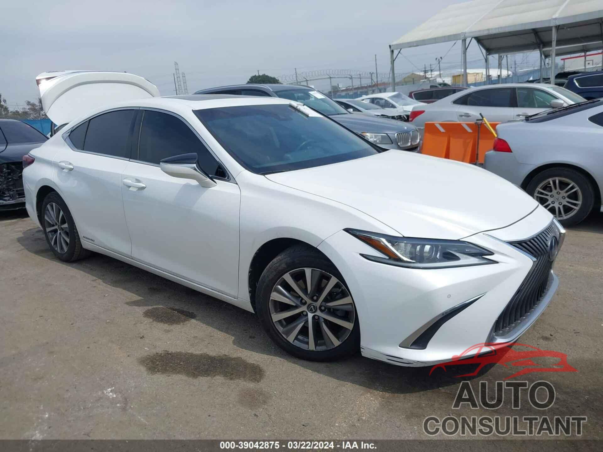 LEXUS ES 300H 2020 - 58AD21B13LU005430