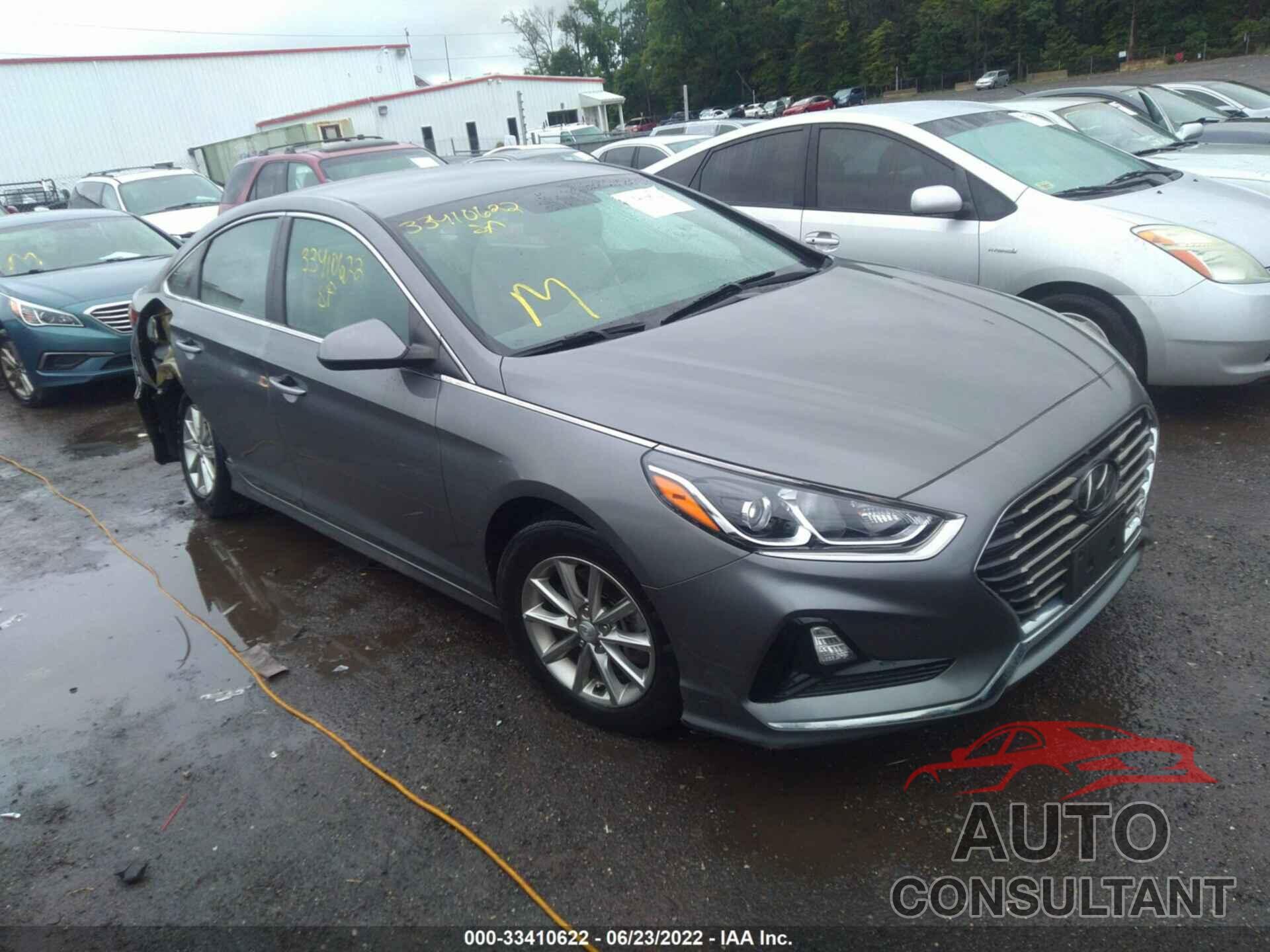 HYUNDAI SONATA 2019 - 5NPE24AF6KH788315