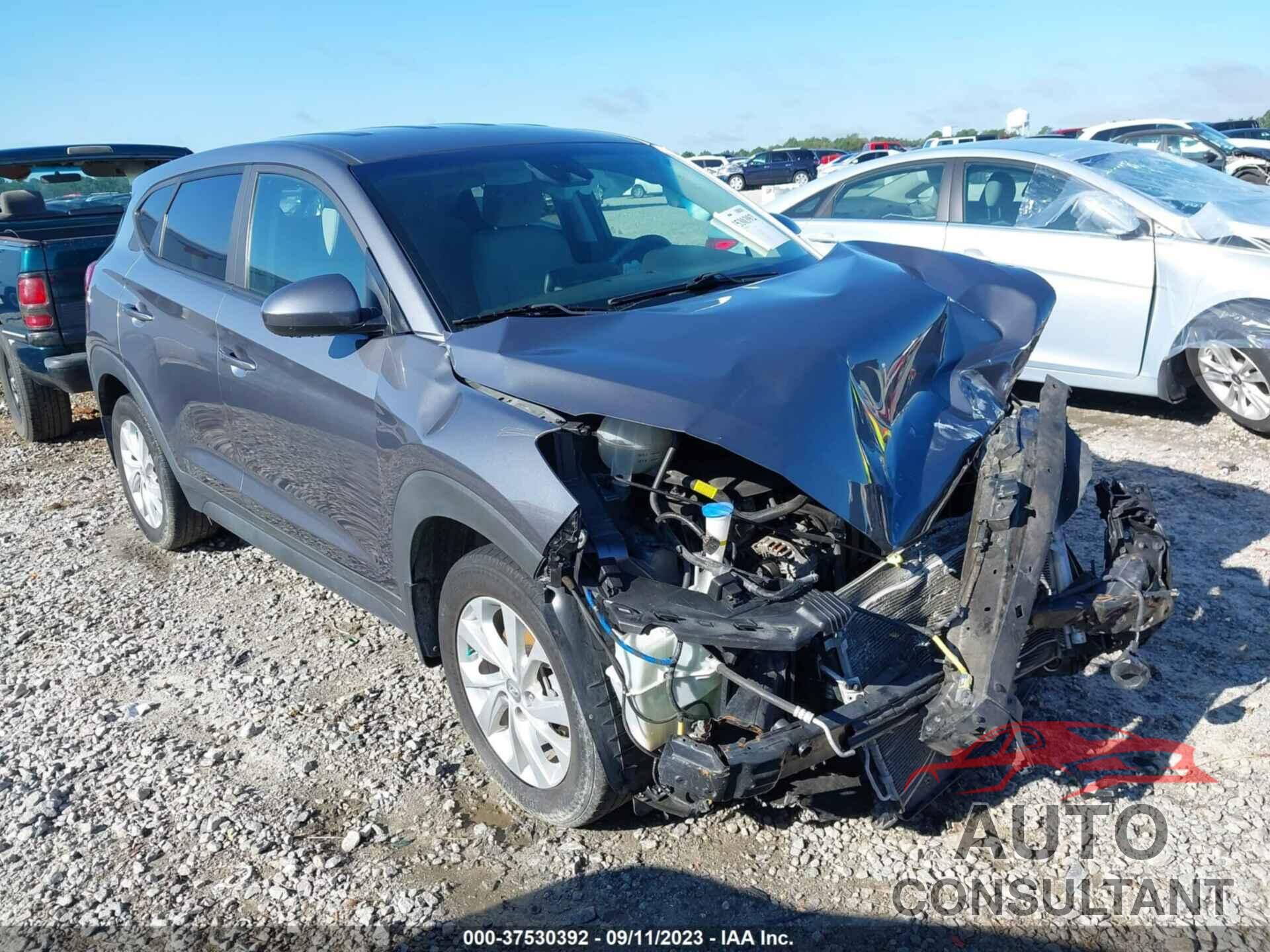 HYUNDAI TUCSON 2019 - KM8J23A42KU061844