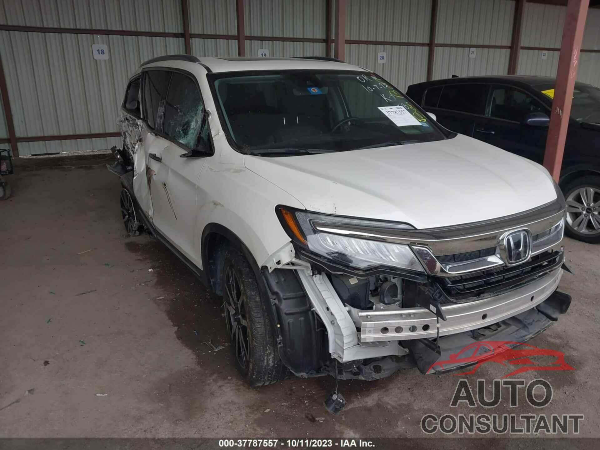 HONDA PILOT 2019 - 5FNYF5H6XKB037214