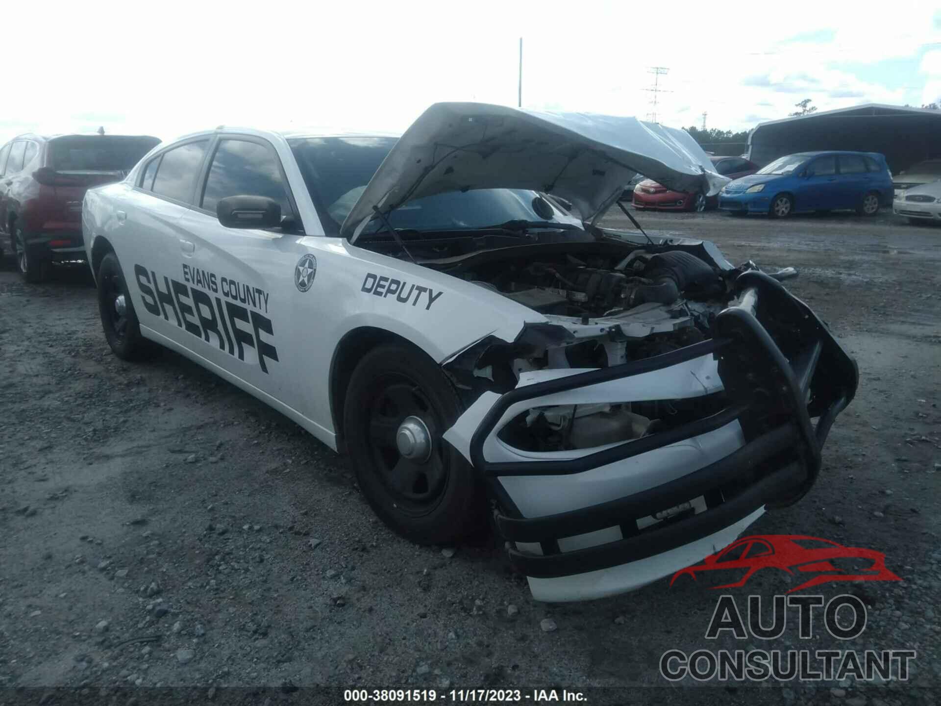 DODGE CHARGER 2019 - 2C3CDXAT8KH558314