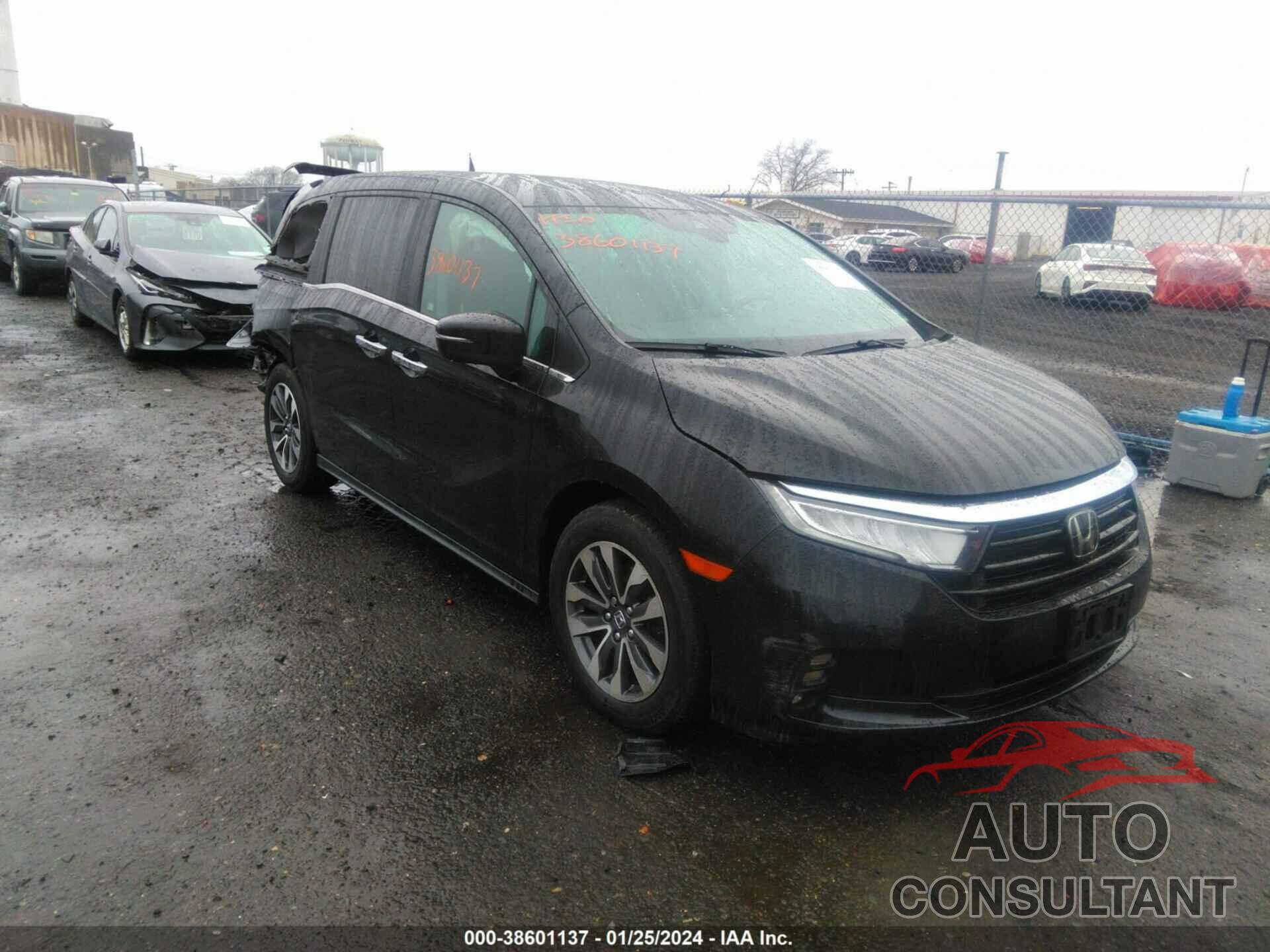 HONDA ODYSSEY 2022 - 5FNRL6H75NB032504