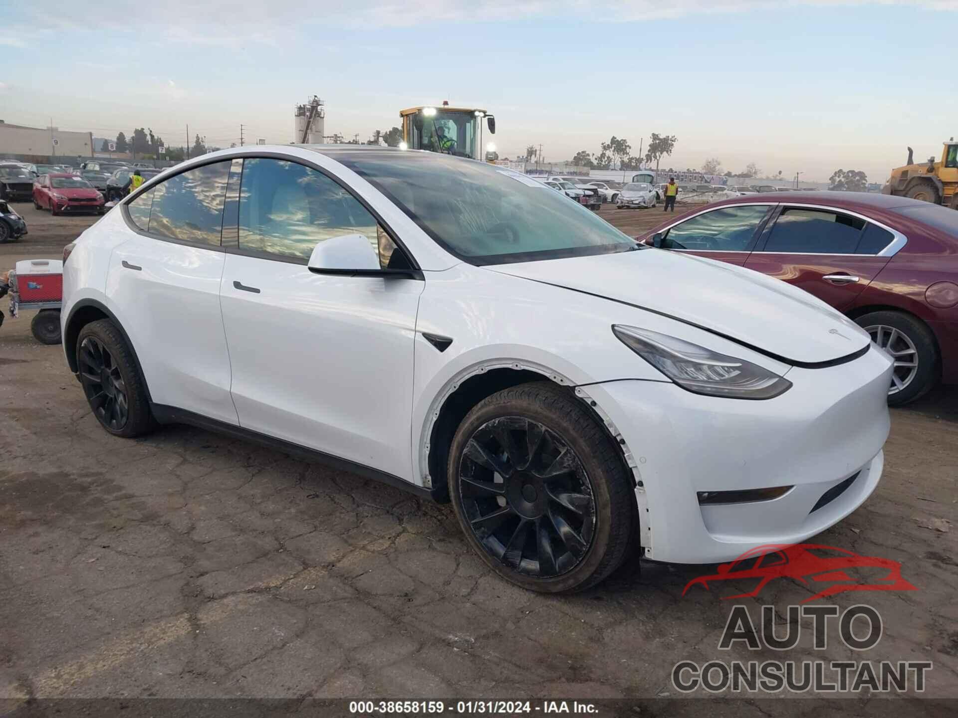 TESLA MODEL Y 2021 - 5YJYGDEE8MF216289