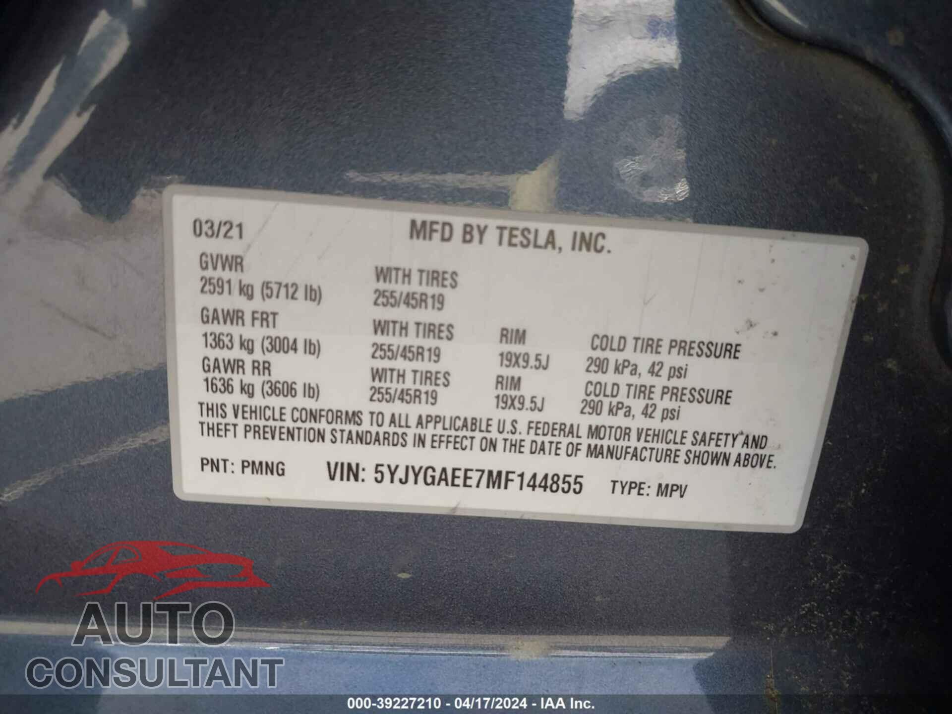 TESLA MODEL Y 2021 - 5YJYGAEE7MF144855