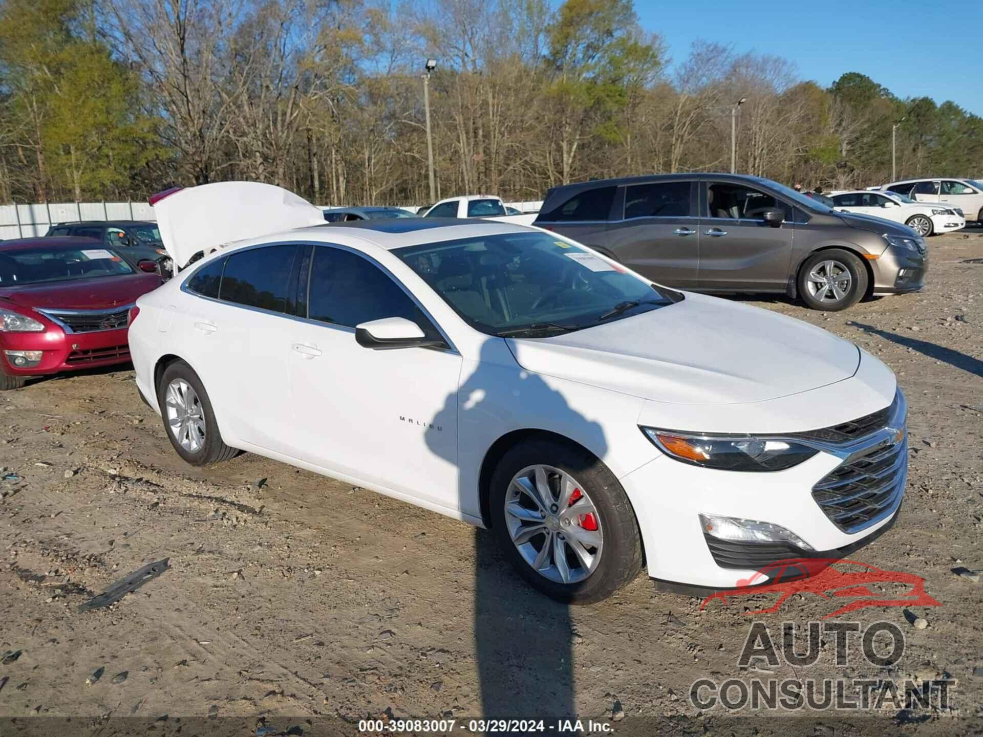 CHEVROLET MALIBU 2019 - 1G1ZD5ST8KF137860