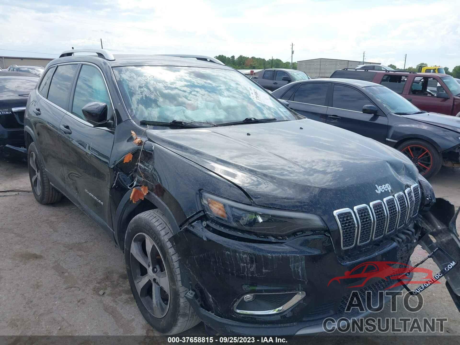 JEEP CHEROKEE 2019 - 1C4PJMDX8KD235641