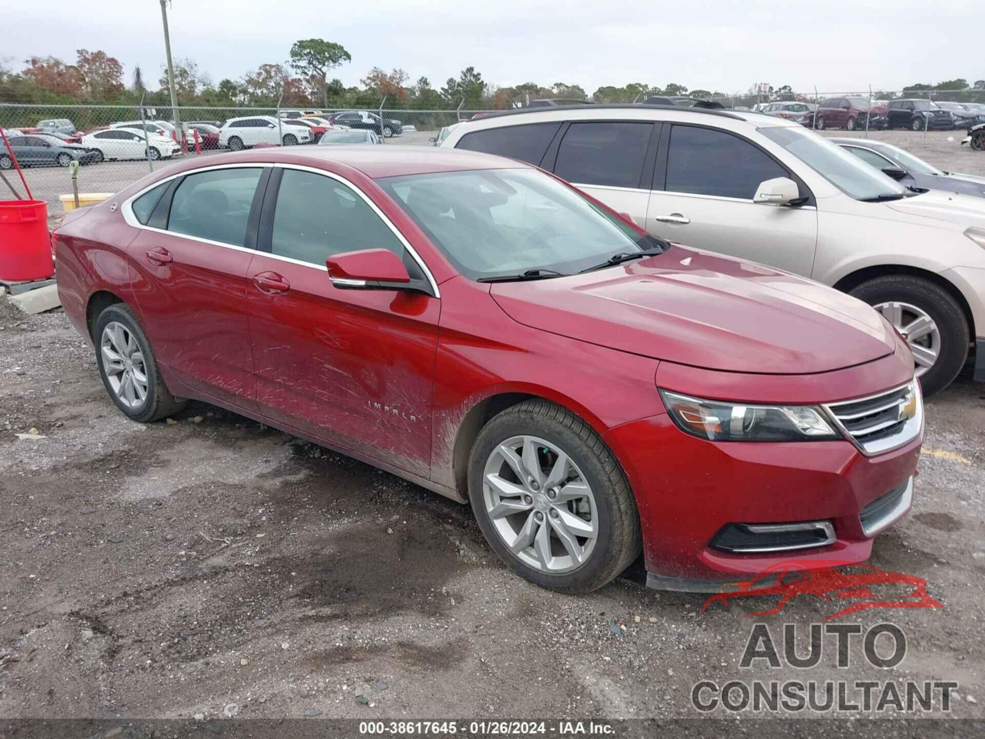 CHEVROLET IMPALA 2019 - 1G11Z5S39KU144181